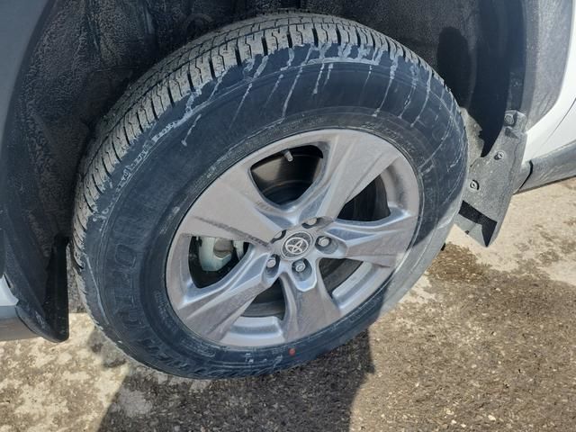 2025 Toyota RAV4 in Regina, Saskatchewan