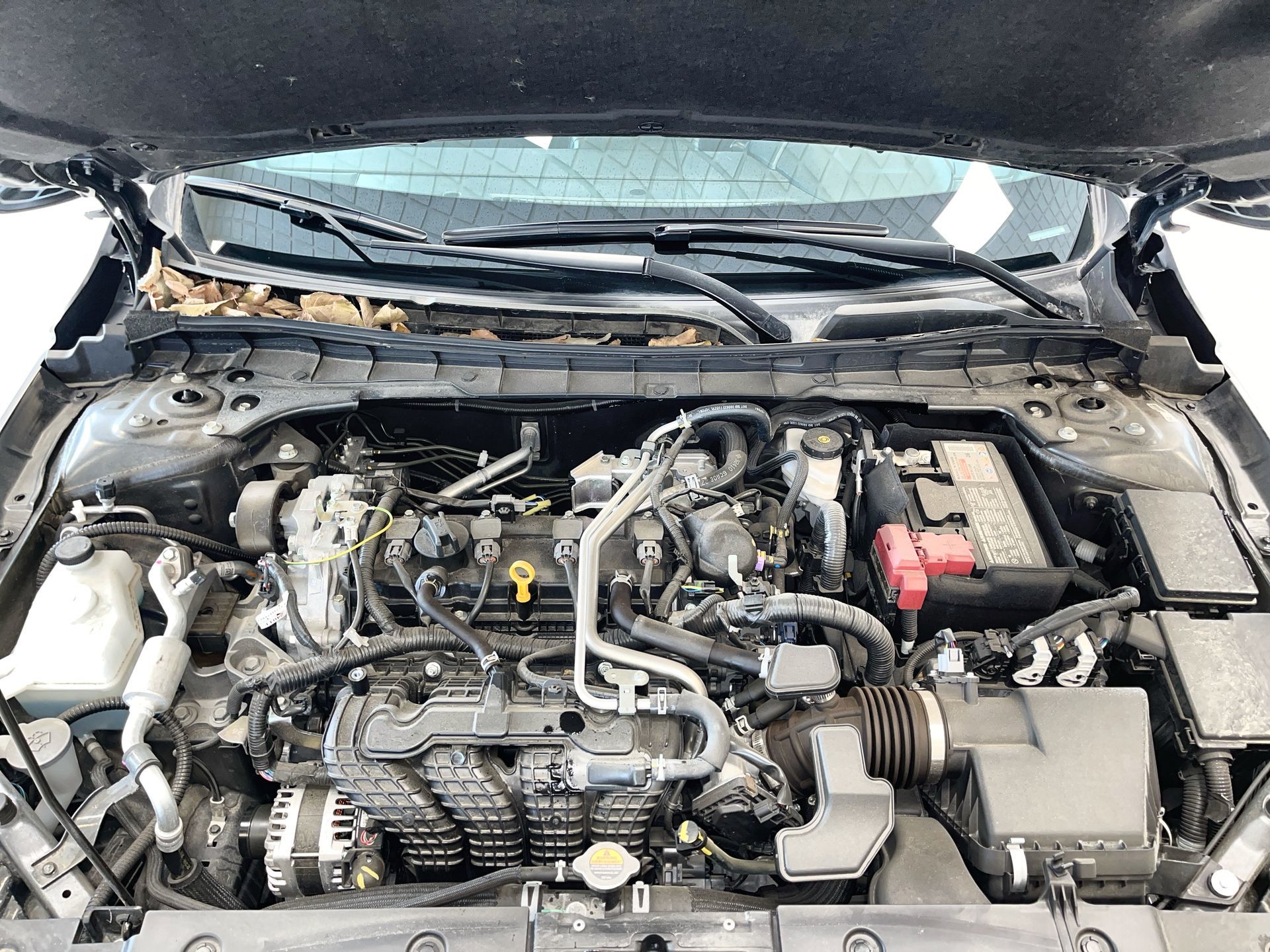 2024 Nissan Altima in Regina, Saskatchewan