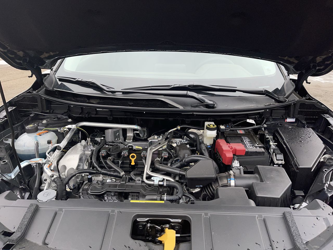 2022 Nissan Rogue in Regina, Saskatchewan