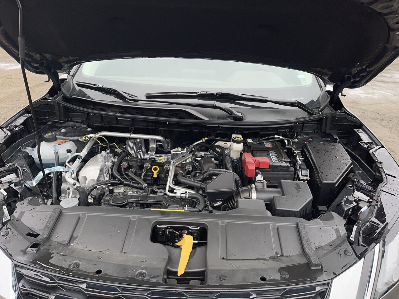 Nissan Rogue  2022 à Regina, Saskatchewan