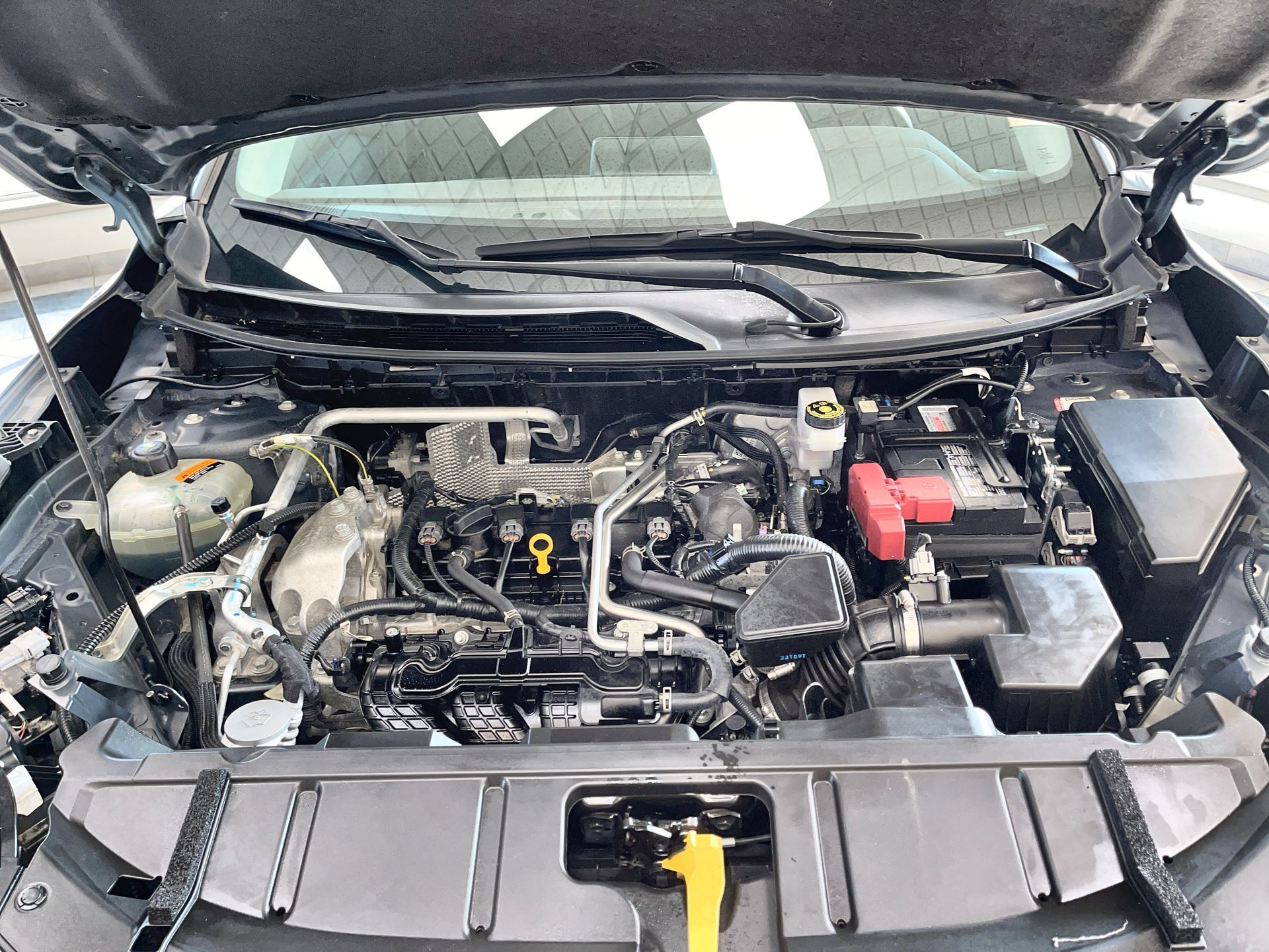 2023 Nissan Rogue in Regina, Saskatchewan