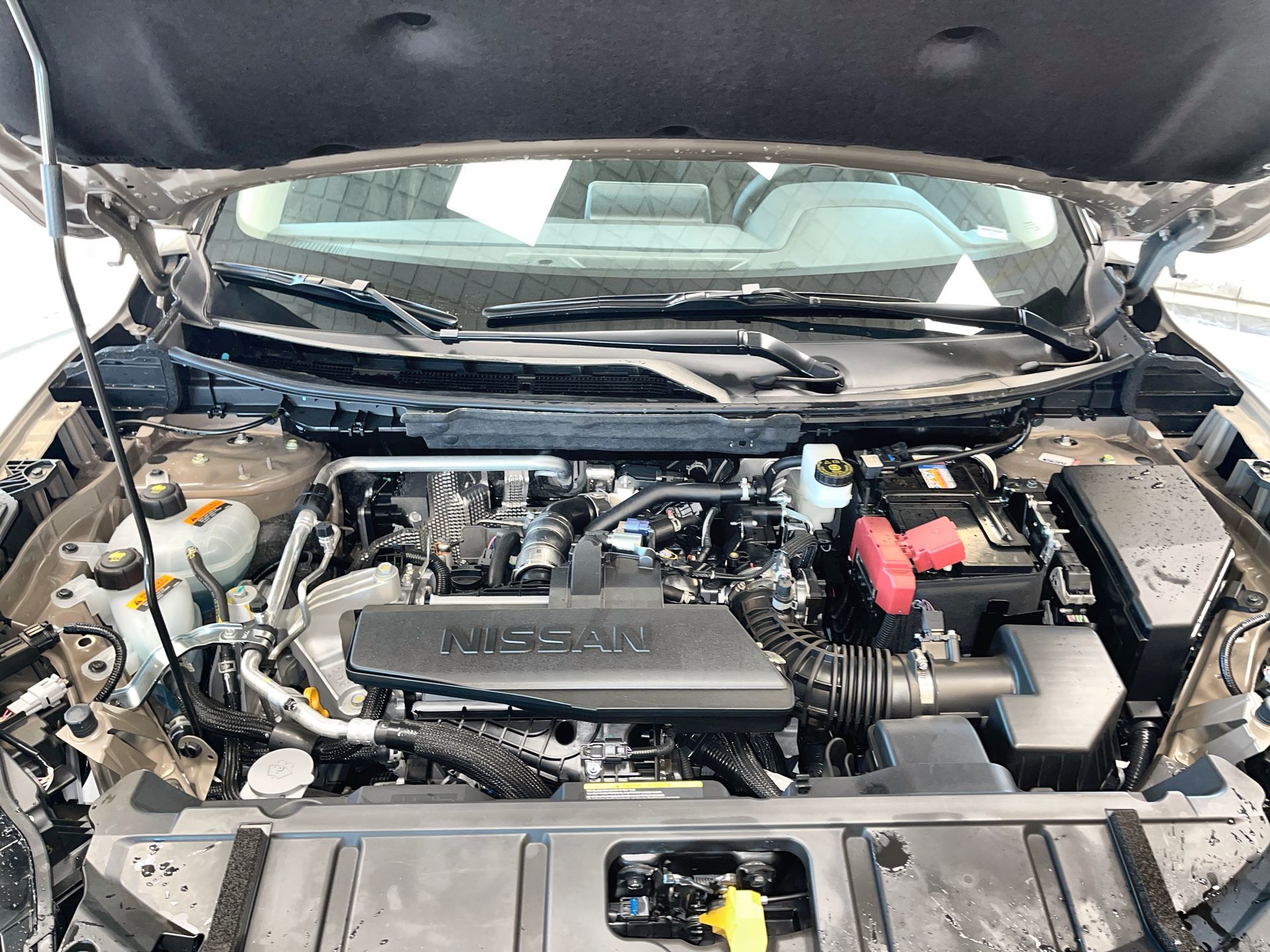 2026 Nissan Rogue in Regina, Saskatchewan