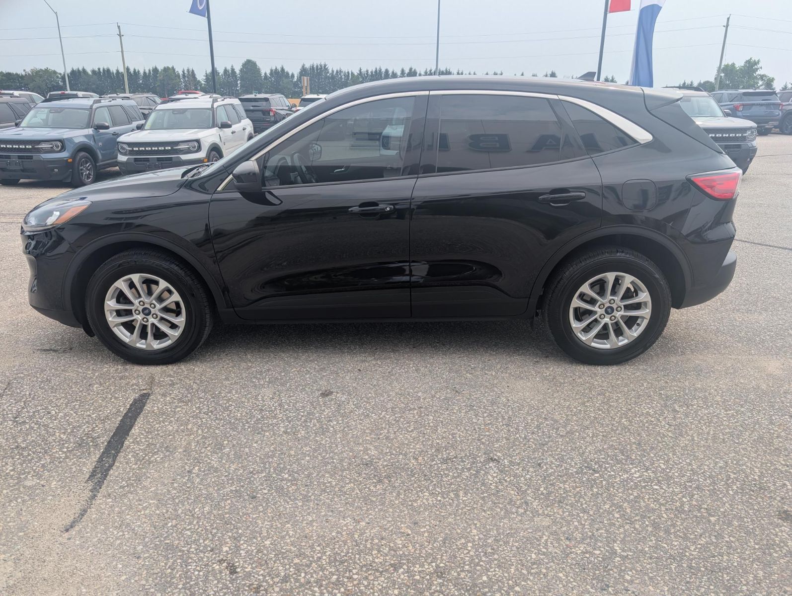 Photo 2020 Ford Escape SE #8