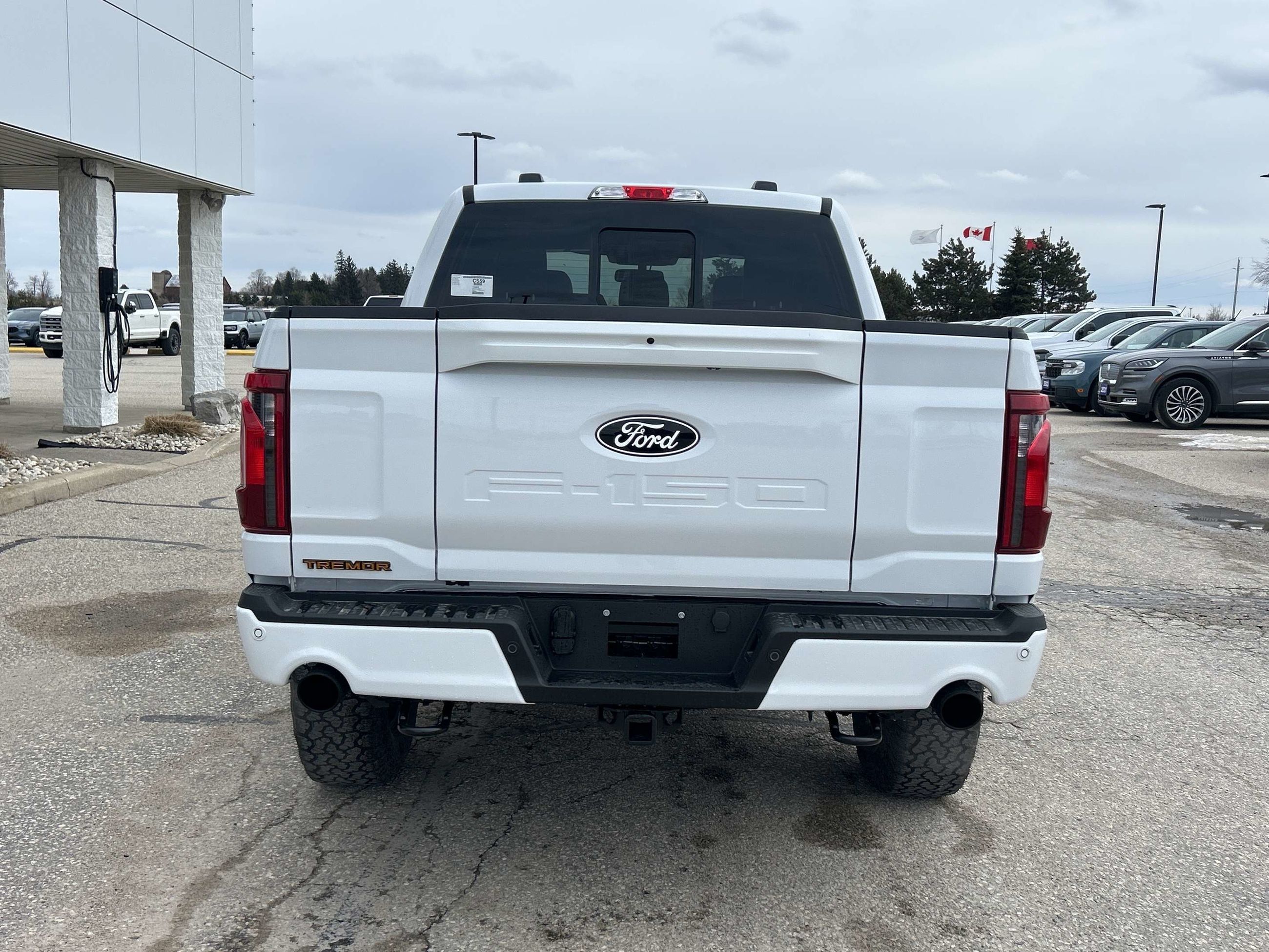 Photo 2026 Ford F-150 Tremor #5