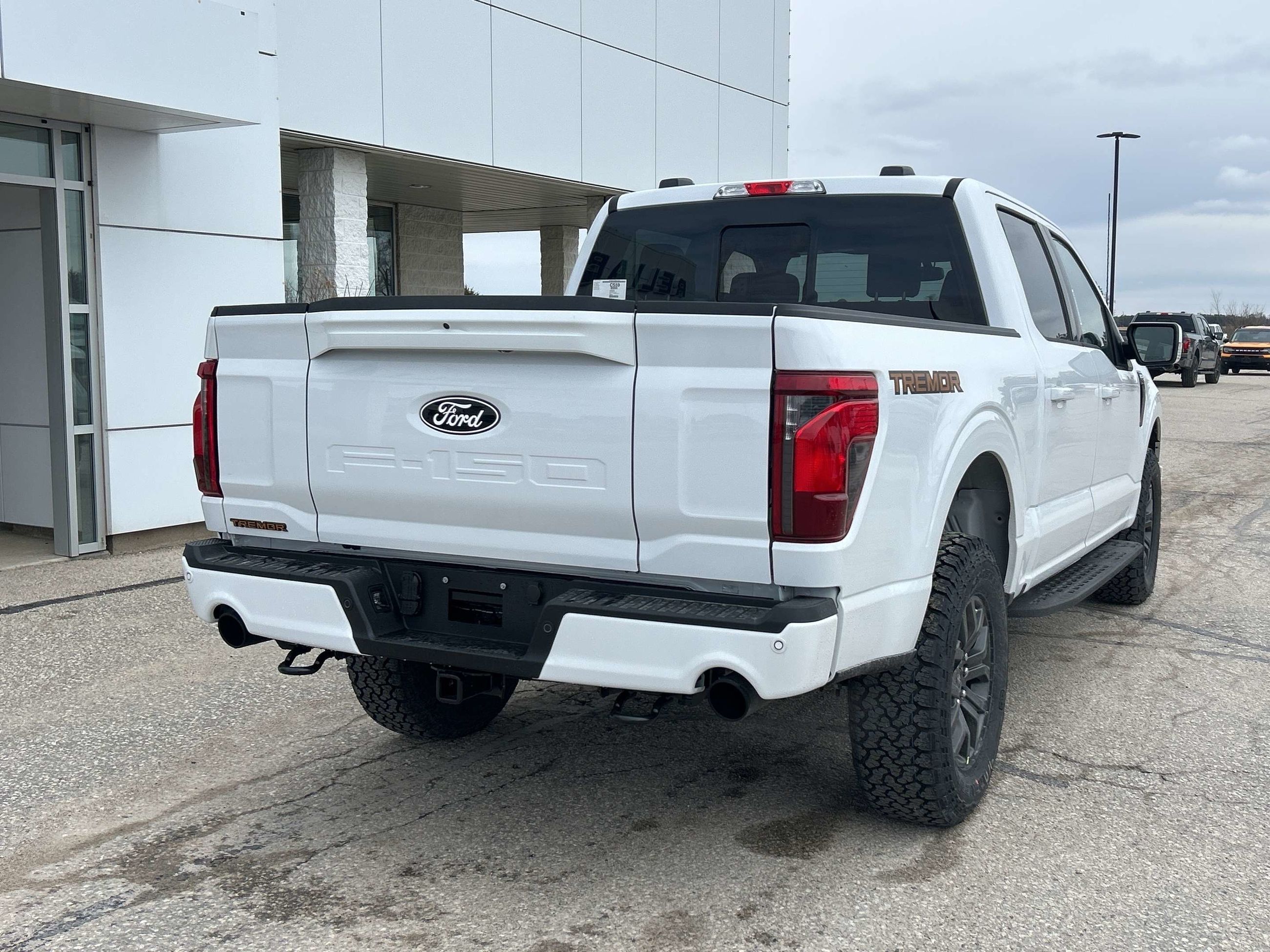 Photo 2026 Ford F-150 Tremor #4