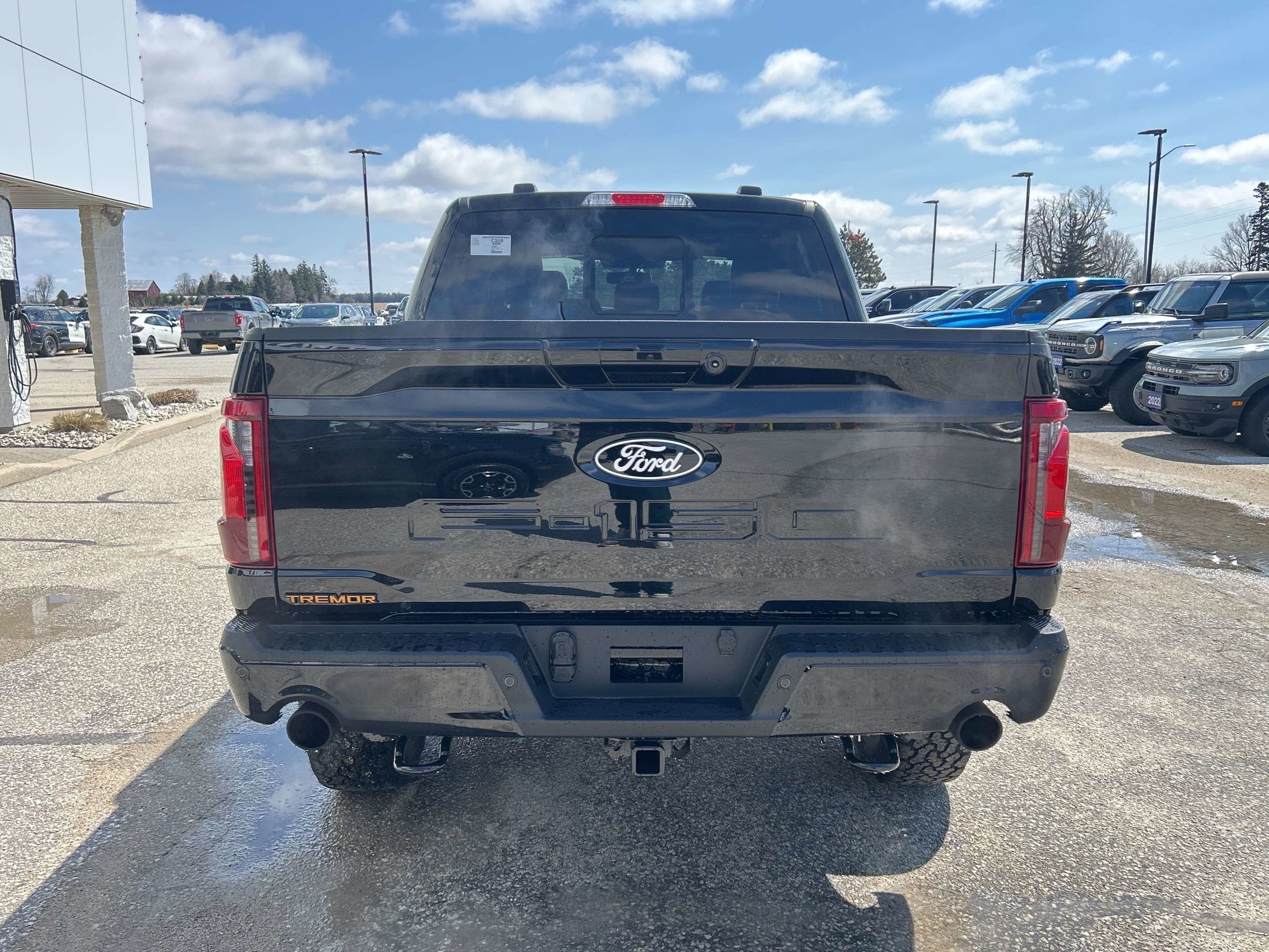 Photo 2026 Ford F-150 Tremor #5