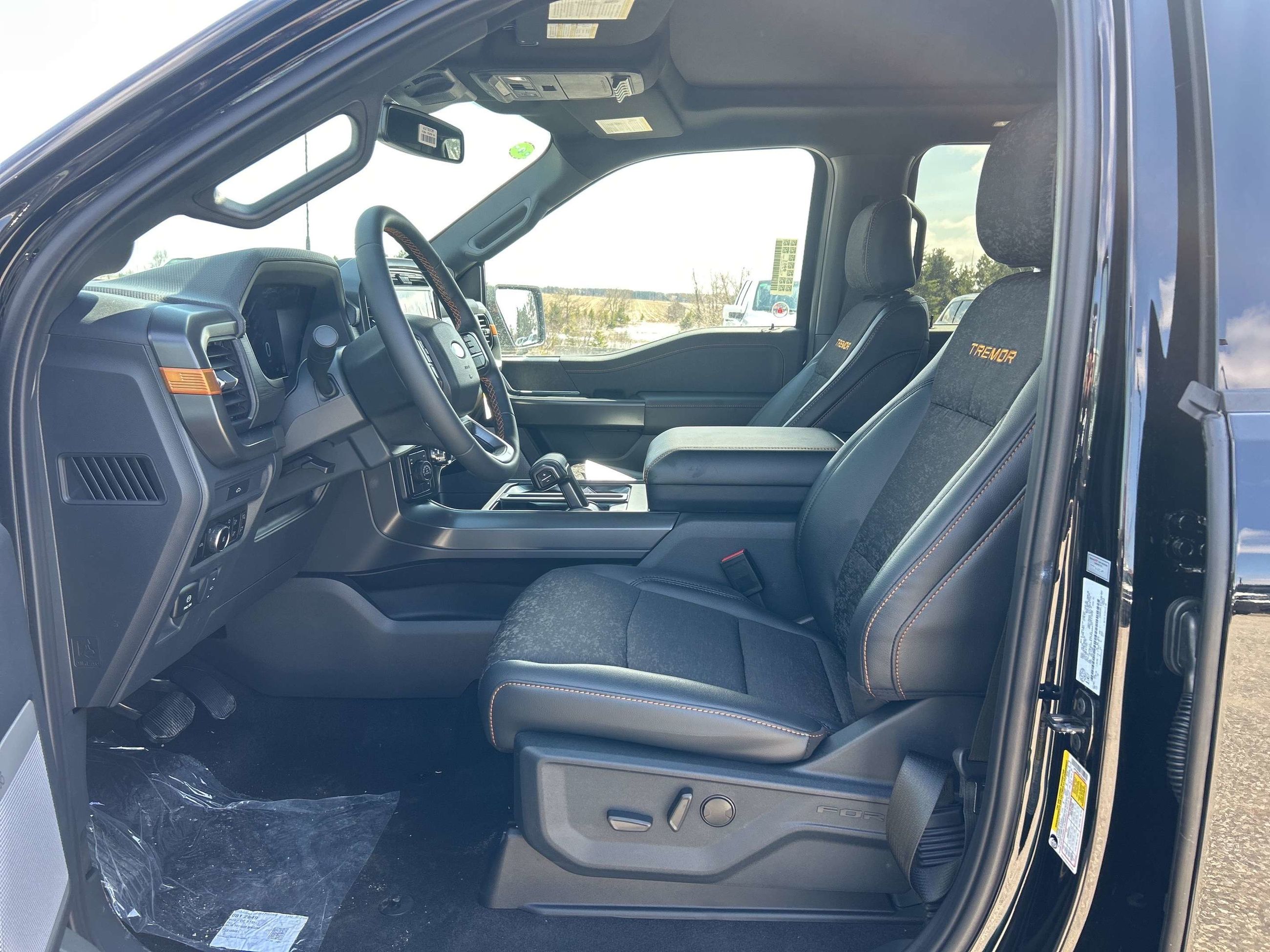 Photo 2026 Ford F-150 Tremor #8