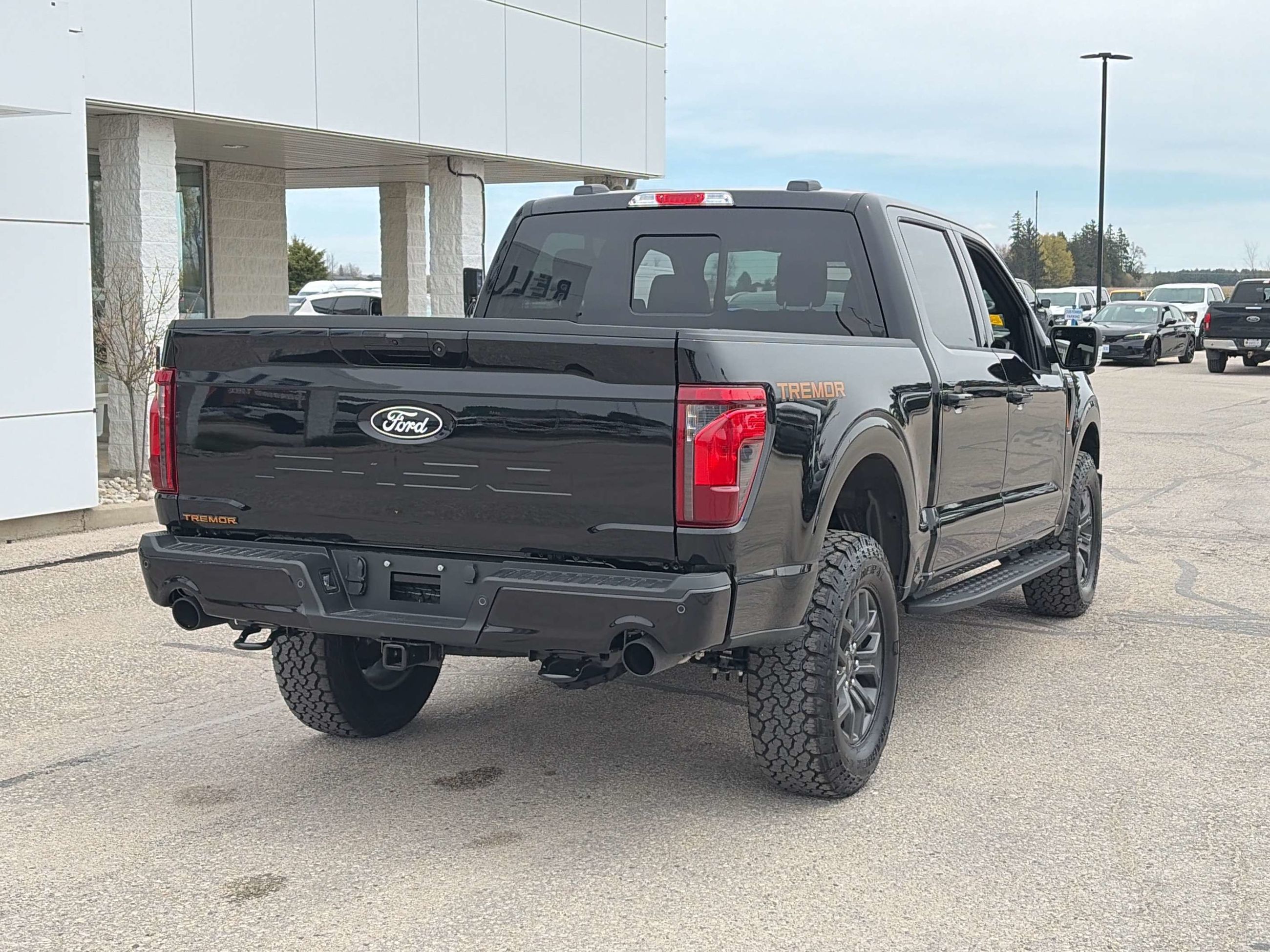 Photo 2026 Ford F-150 Tremor #4