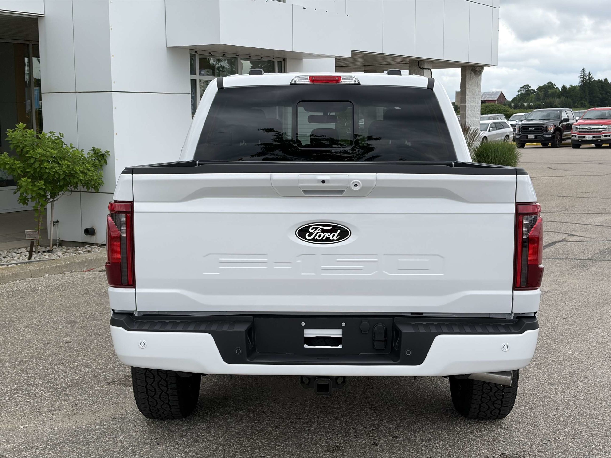 Photo 2026 Ford F-150 XLT #5