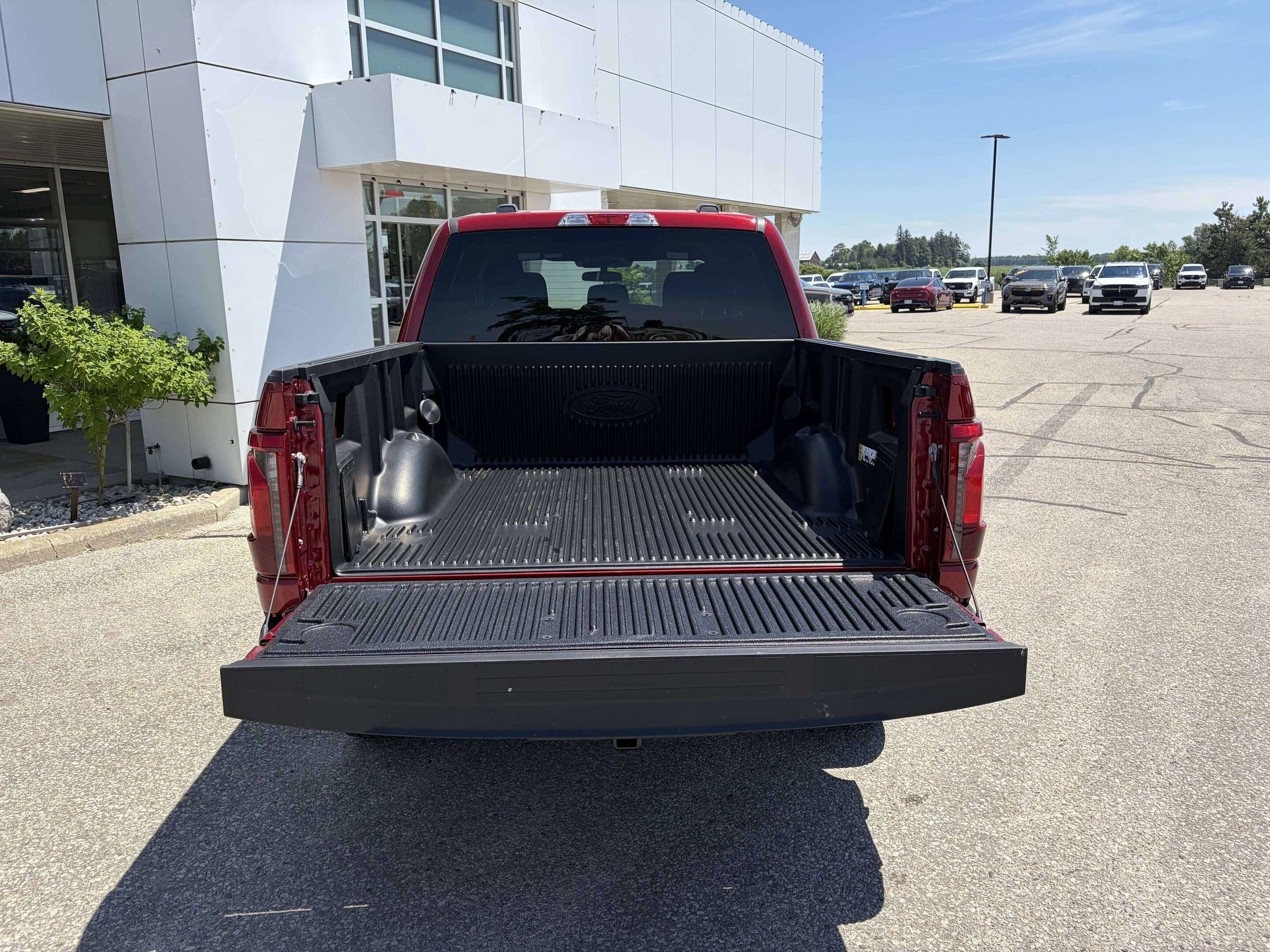 Photo 2026 Ford F-150 STX #6