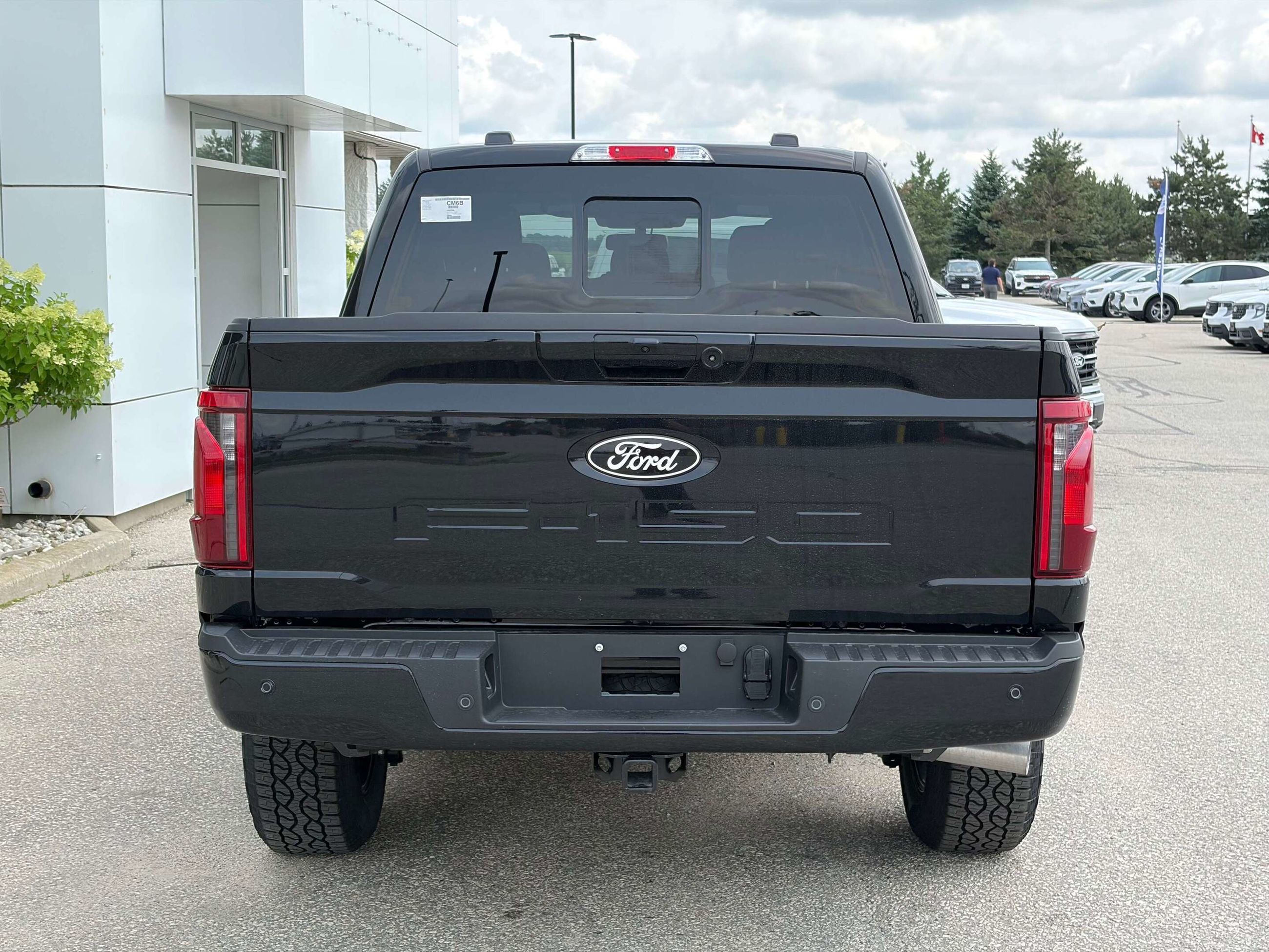Photo 2026 Ford F-150 XLT #5