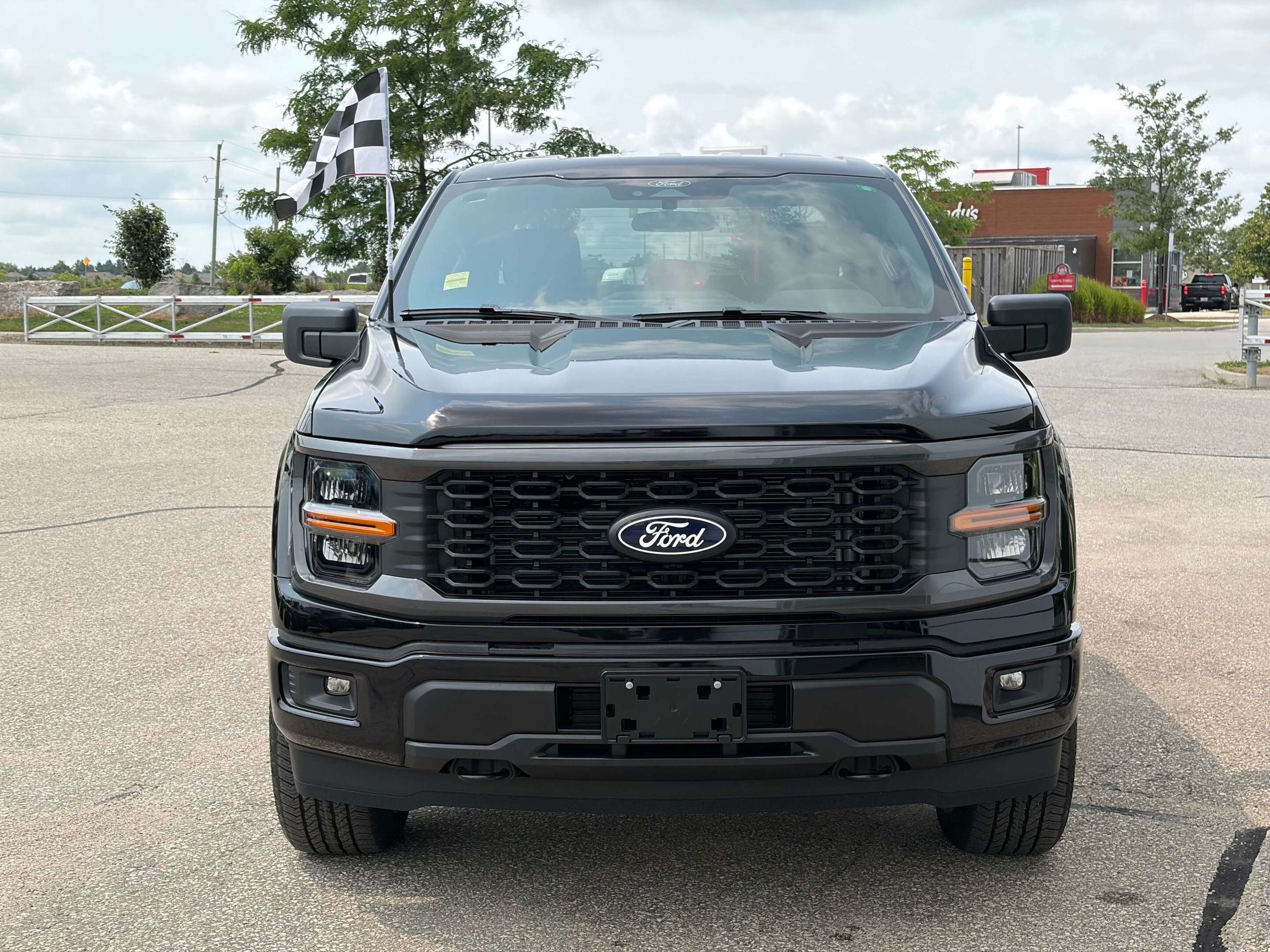 Photo 2026 Ford F-150 STX #2