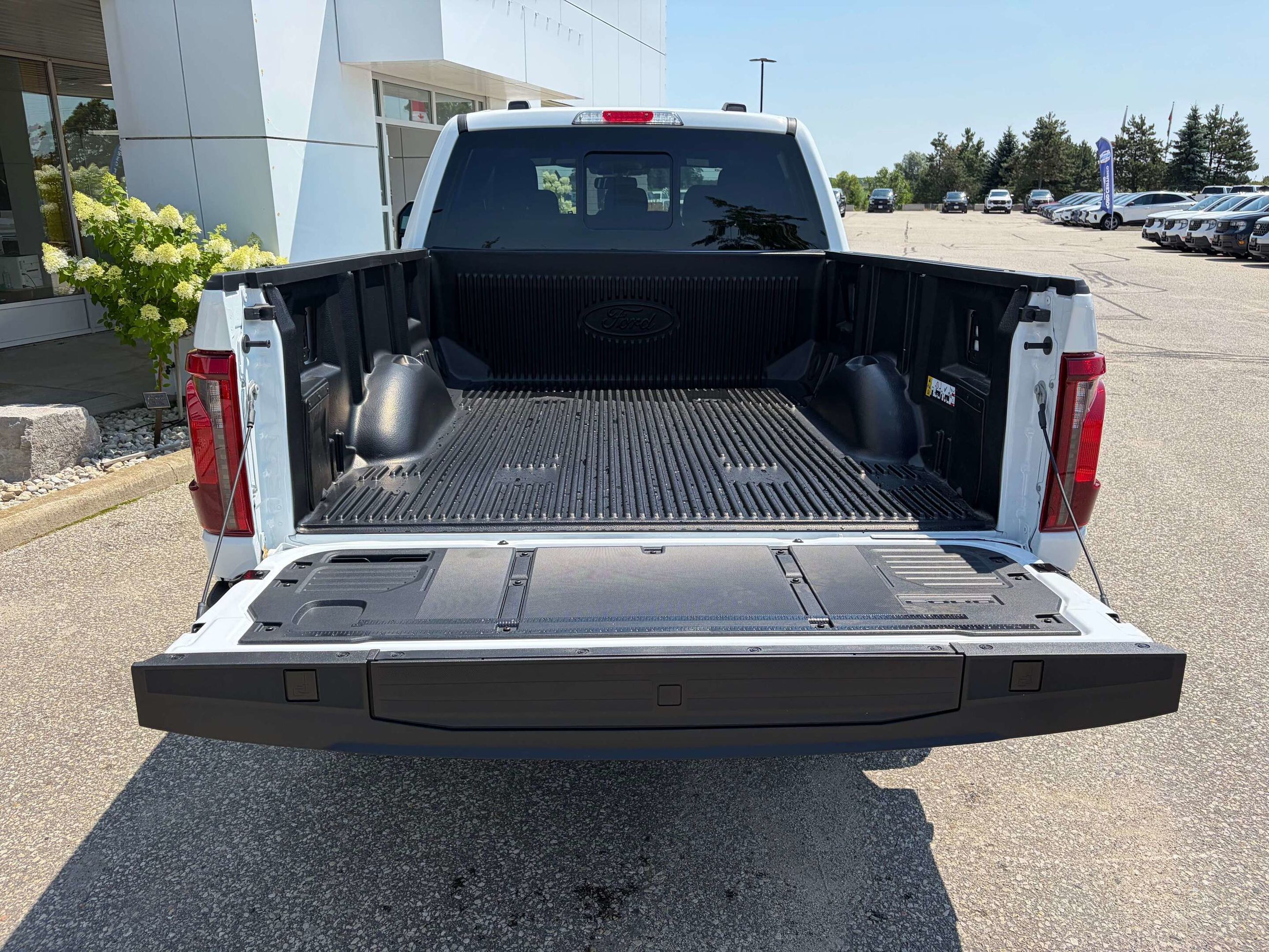 Photo 2026 Ford F-150 XLT #6