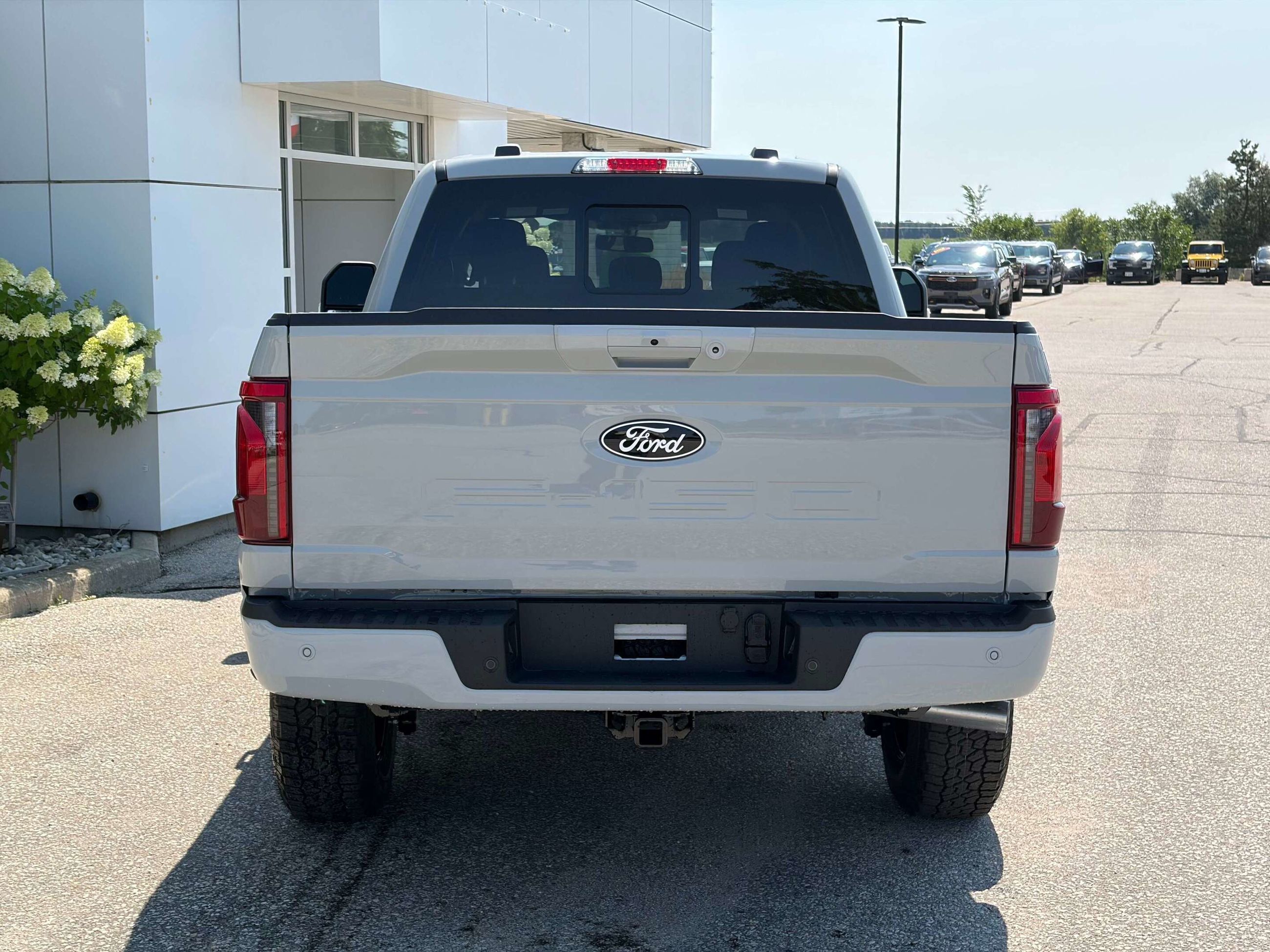Photo 2026 Ford F-150 XLT #5