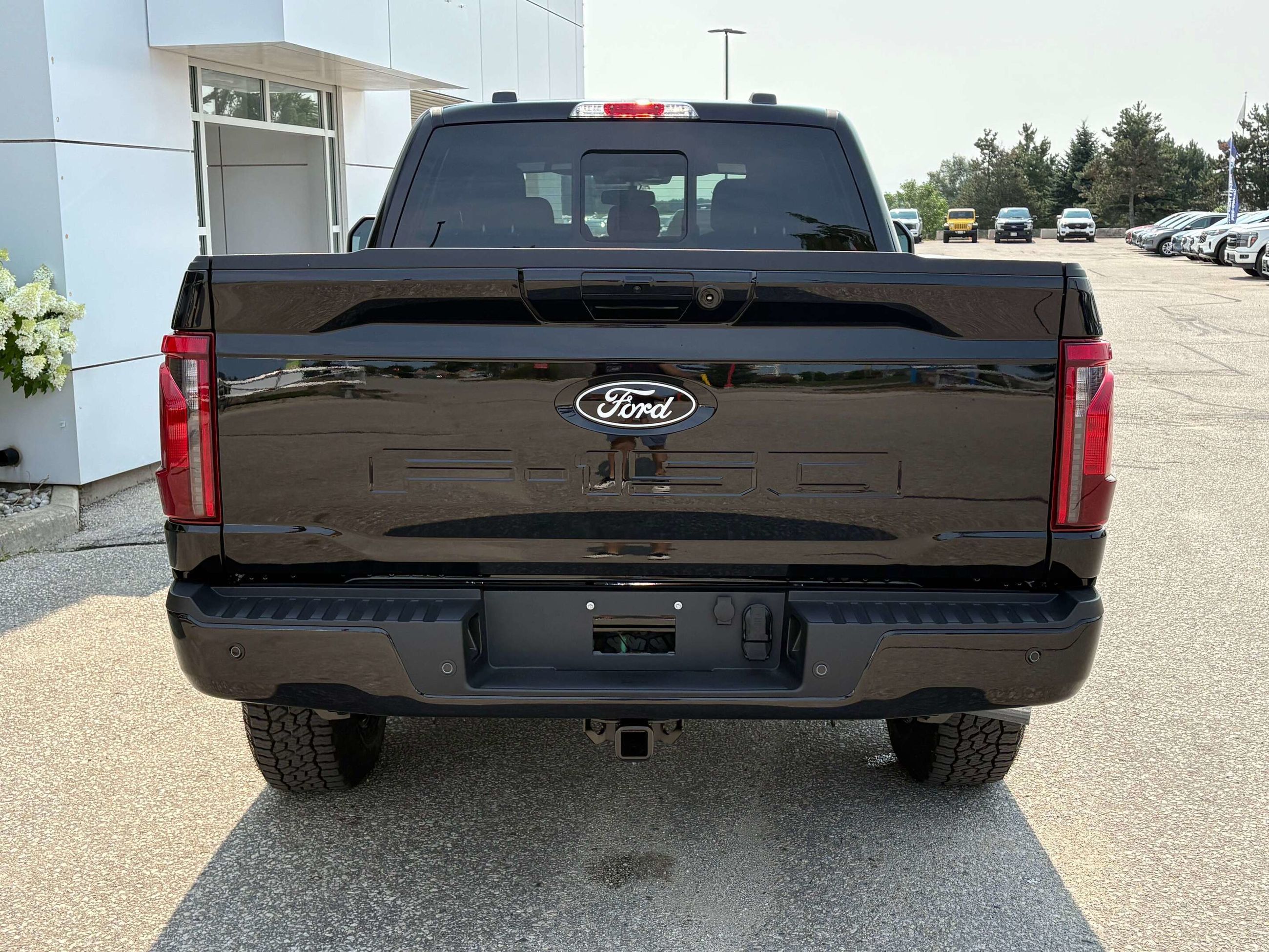 Photo 2026 Ford F-150 XLT #6