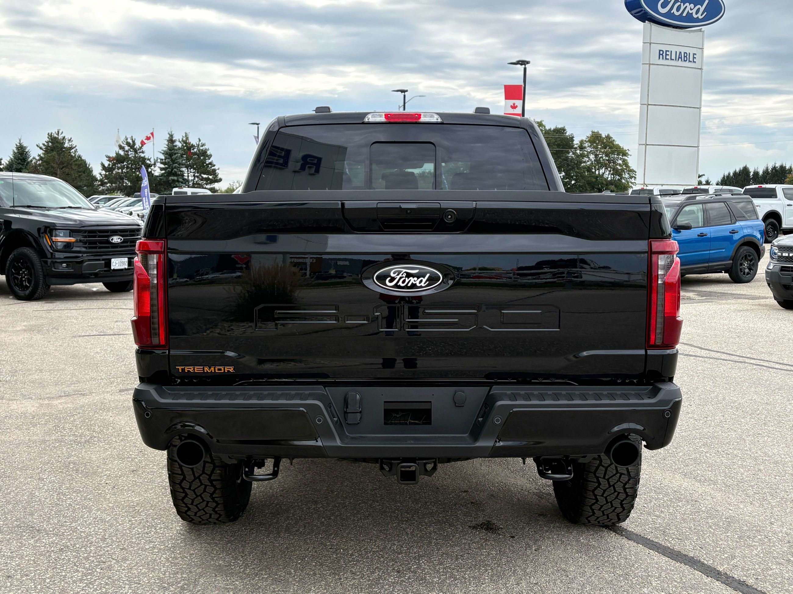 Photo 2026 Ford F-150 Tremor #5