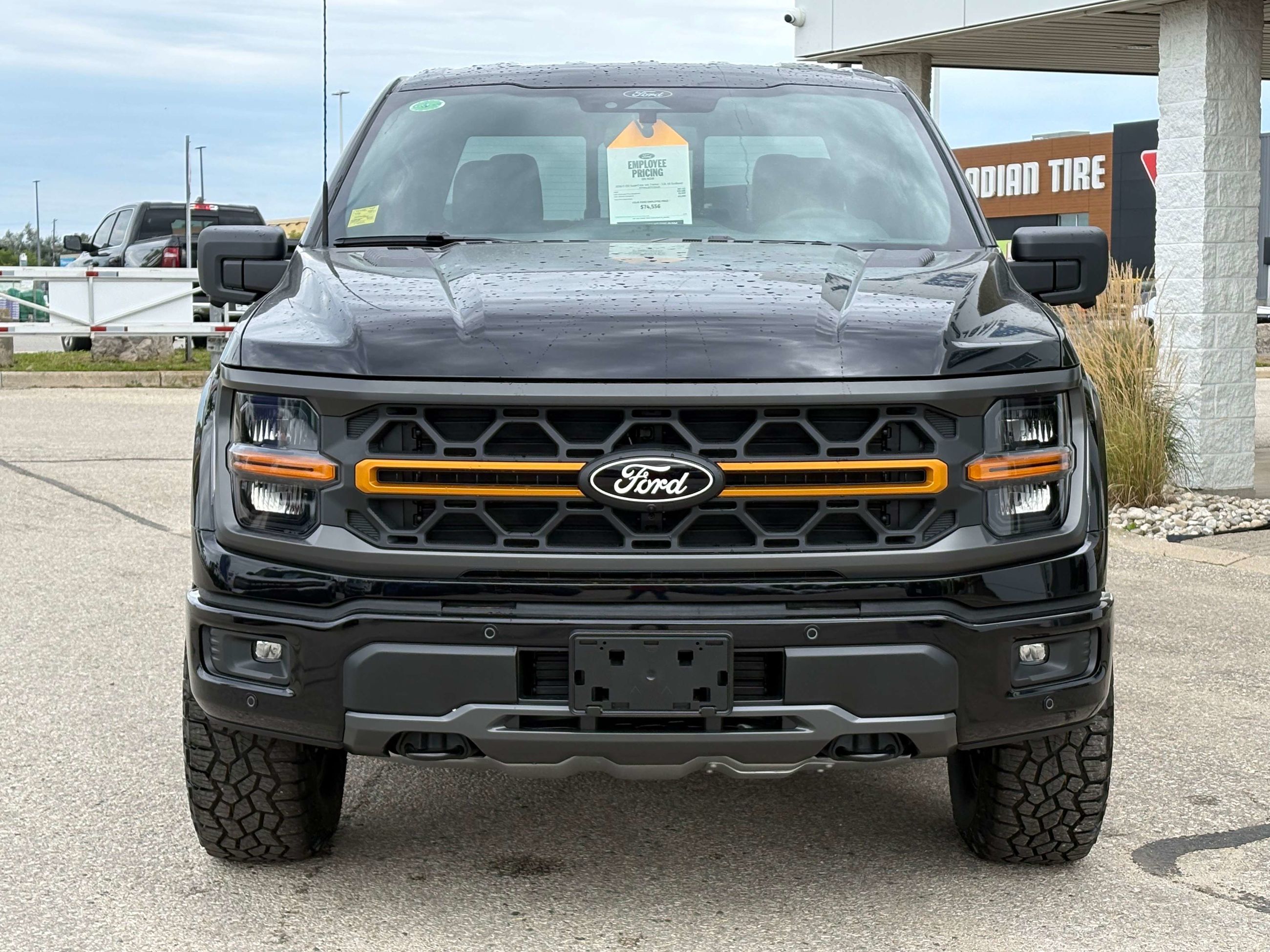 Photo 2026 Ford F-150 Tremor #2