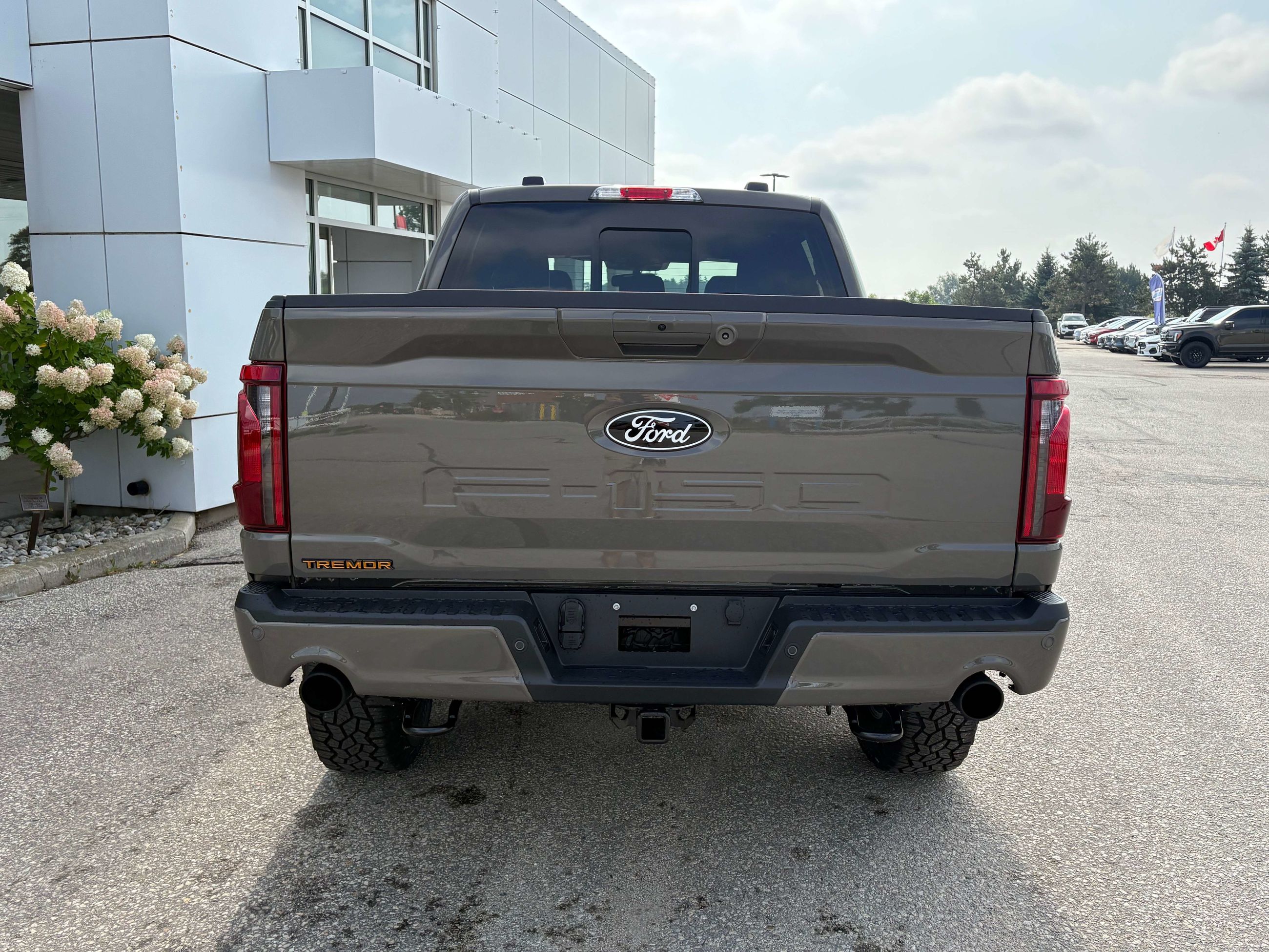 Photo 2026 Ford F-150 Tremor #6