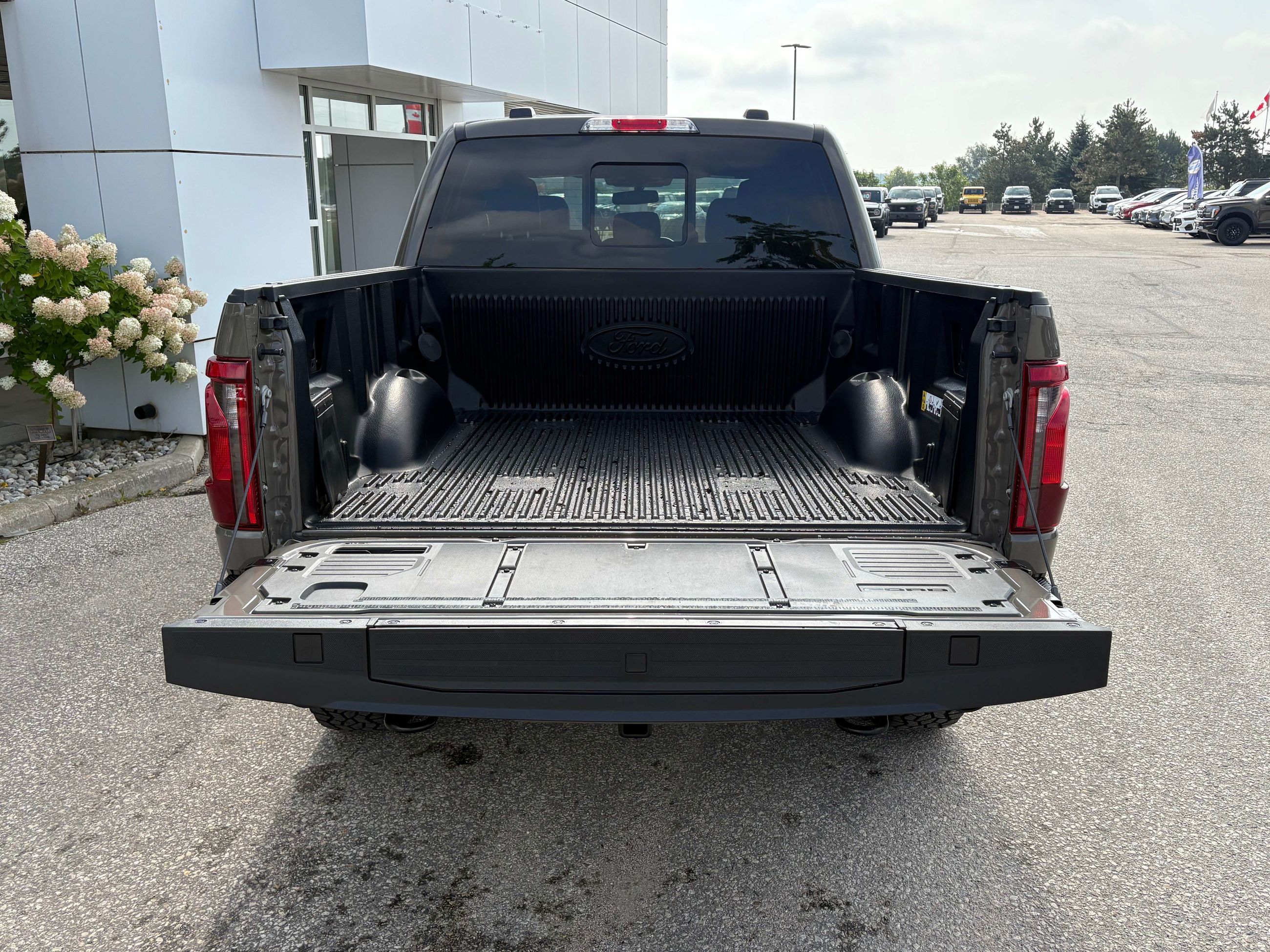 Photo 2026 Ford F-150 Tremor #5