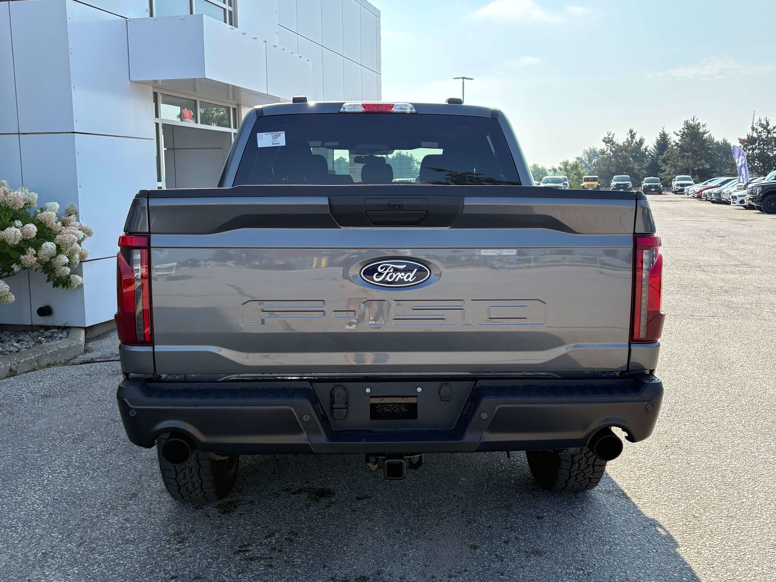 Photo 2026 Ford F-150 STX #8