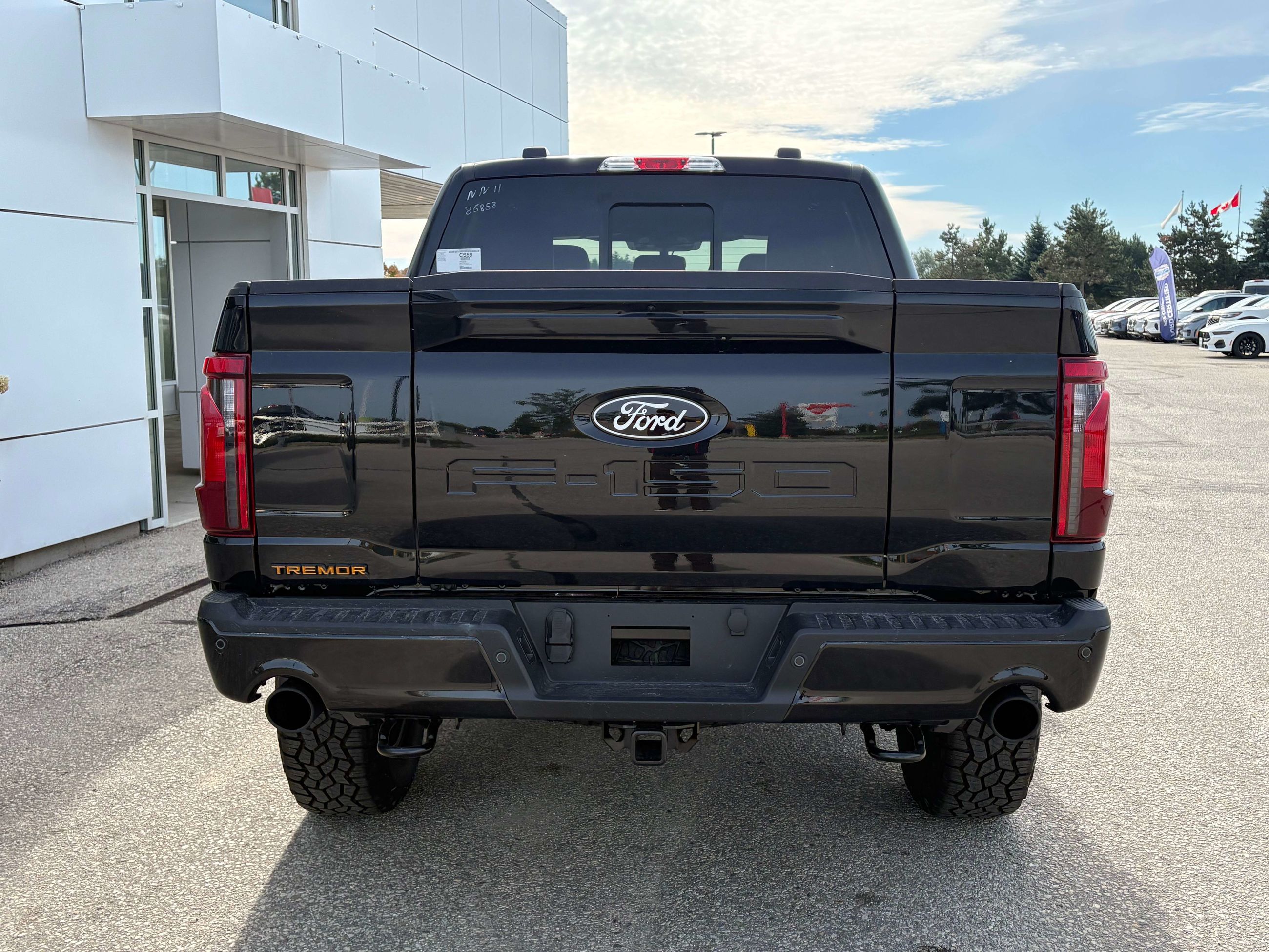 Photo 2026 Ford F-150 Tremor #7