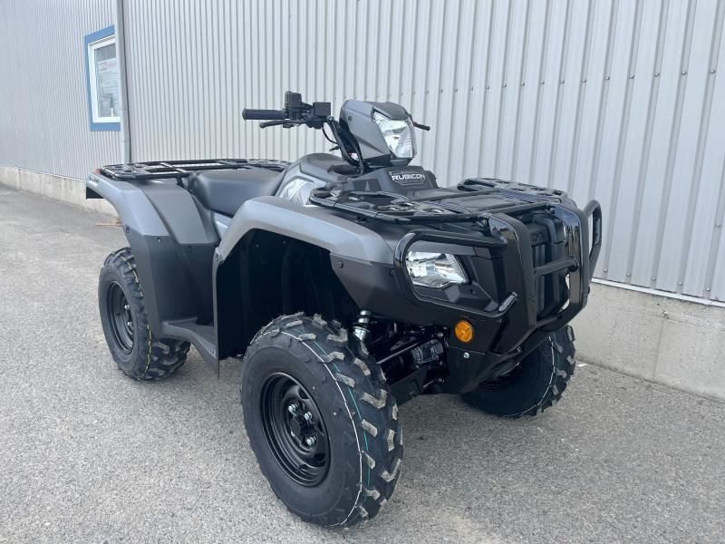 2025 Honda Rubicon IRS EPS