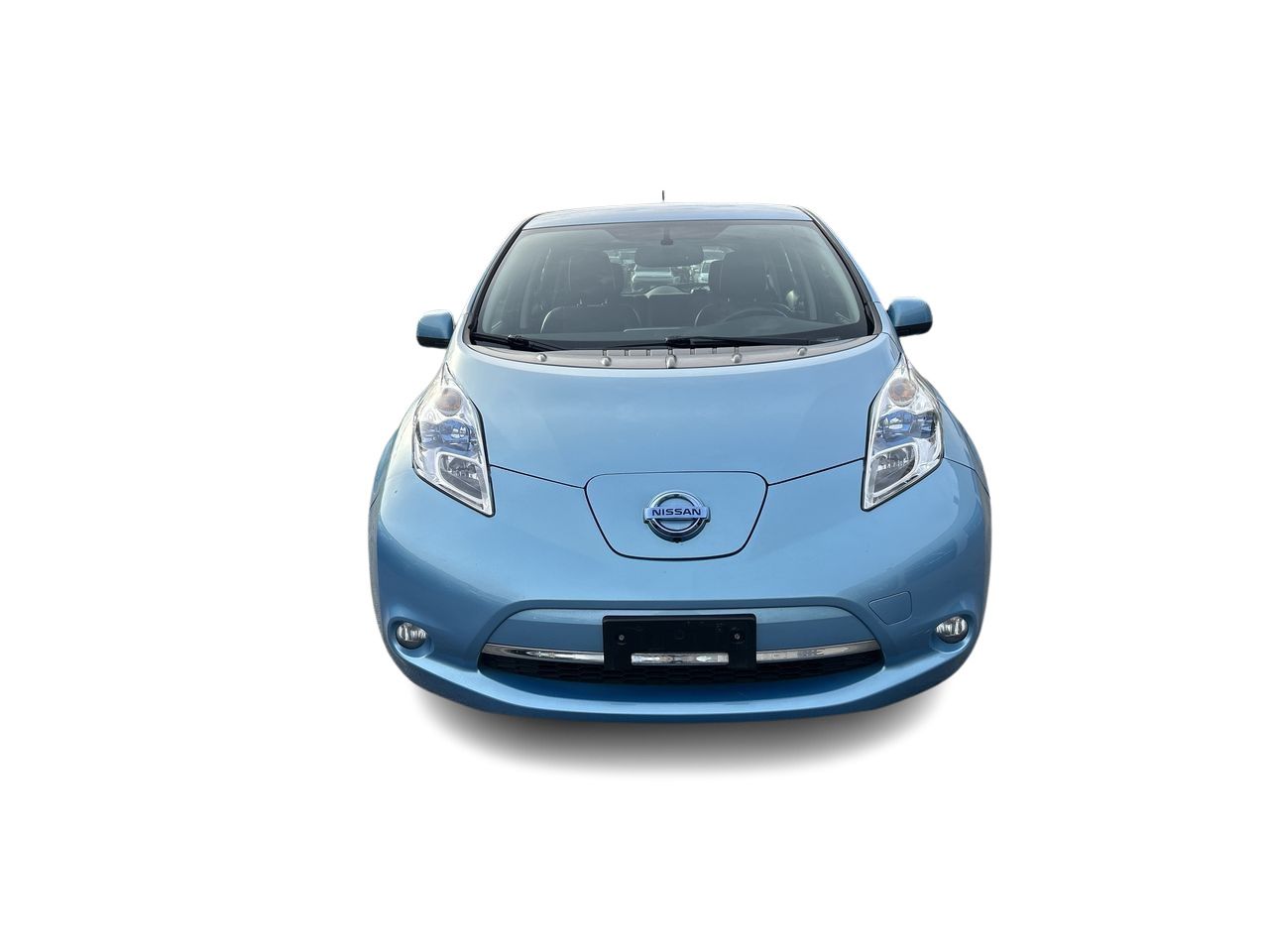 2015  Leaf