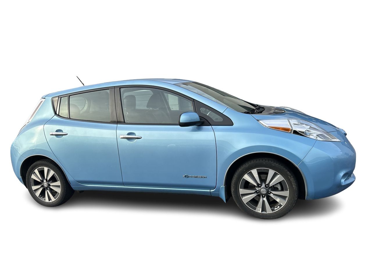 2015  Leaf