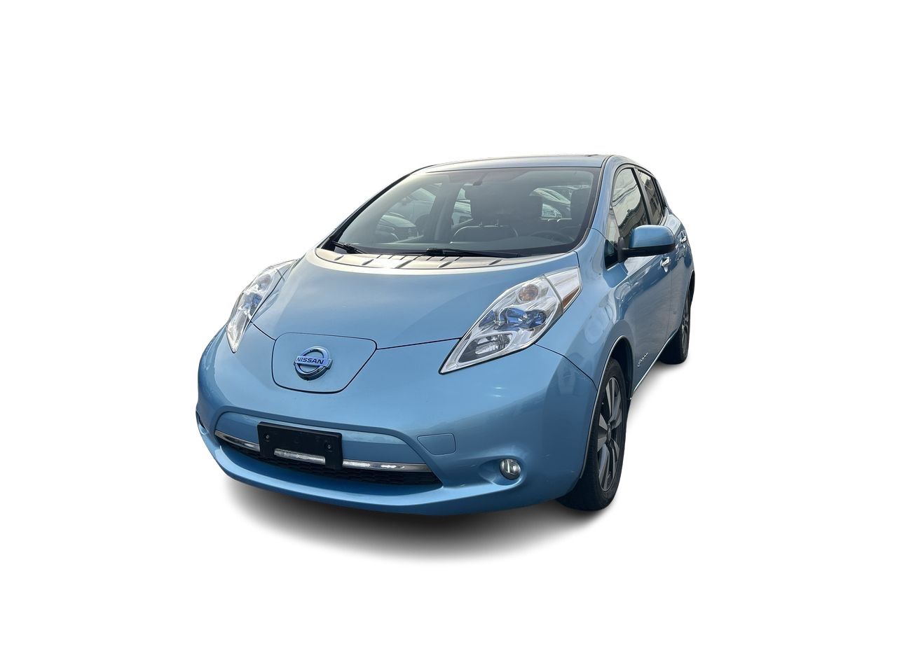 2015  Leaf