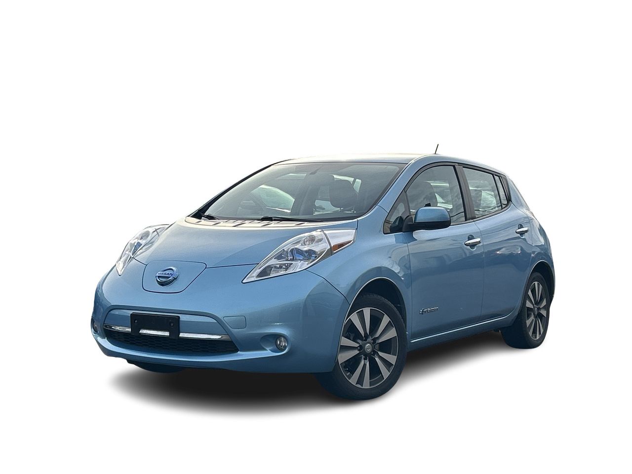 2015  Leaf