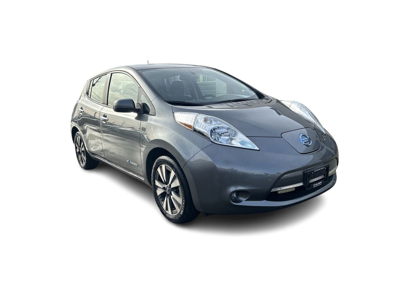 2017  Leaf