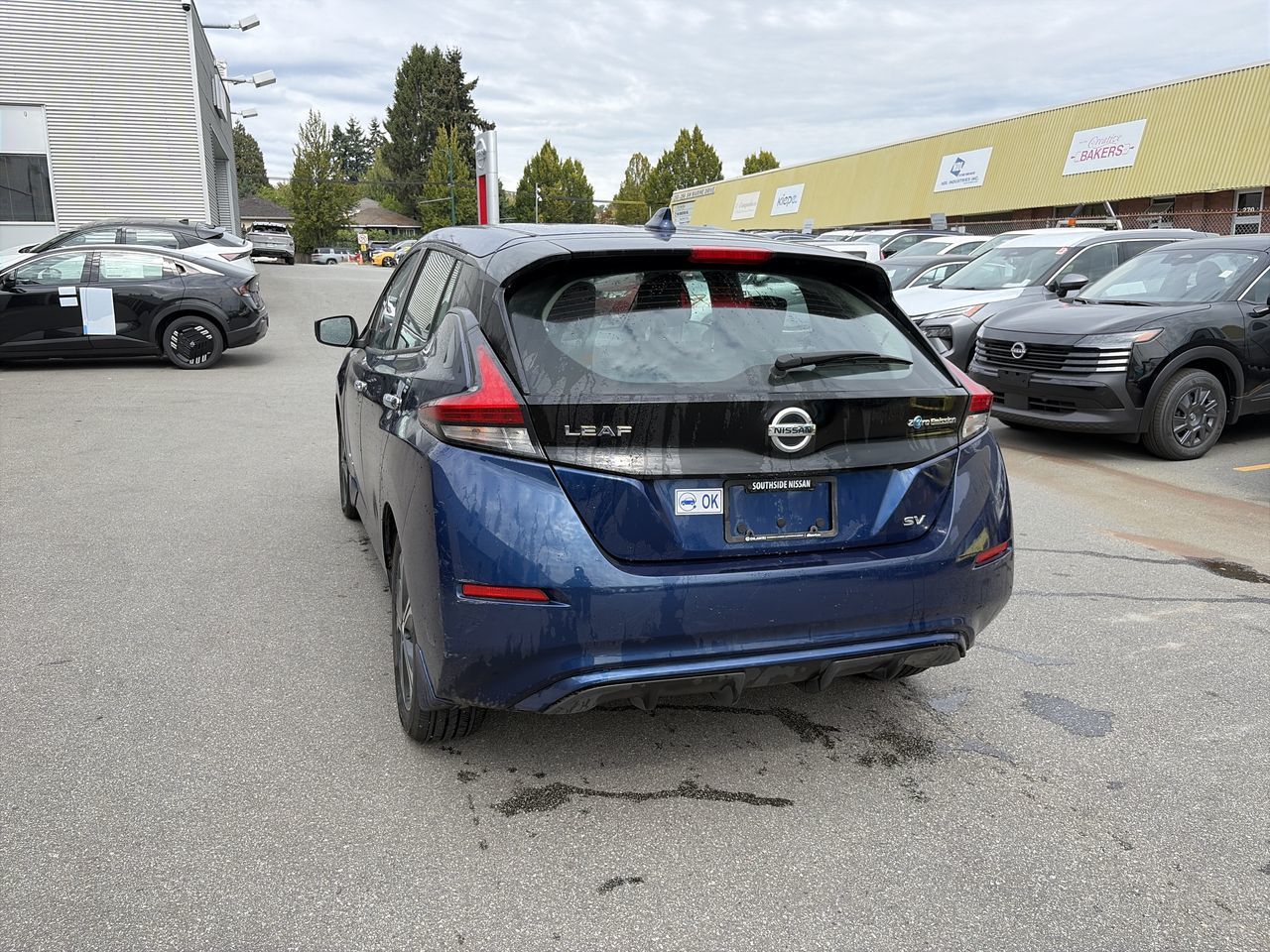 2019 Nissan LEAF