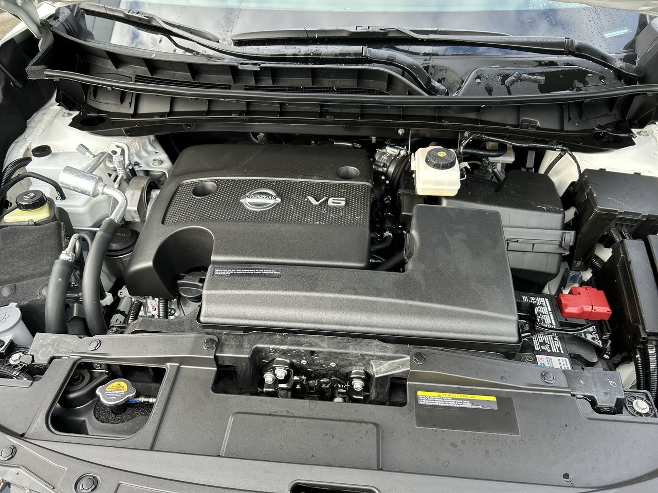 2024 Nissan Murano in Vancouver, British Columbia