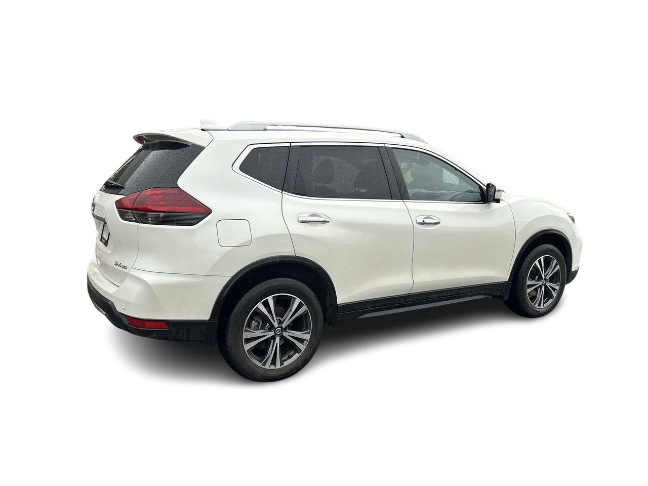 2019  Rogue