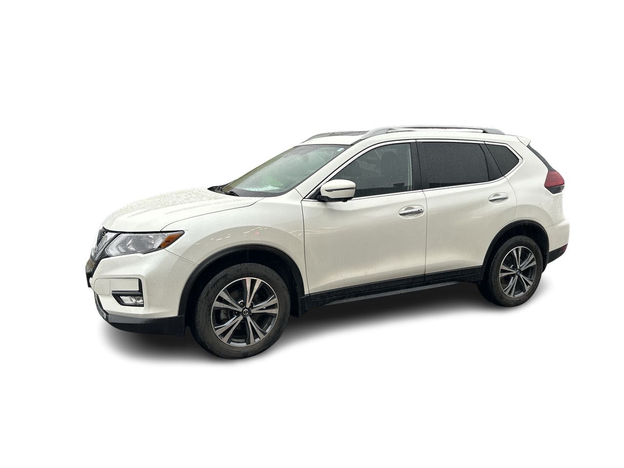 2019  Rogue