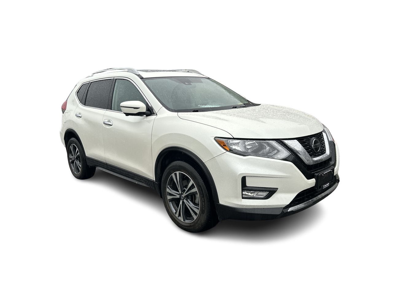 2019  Rogue