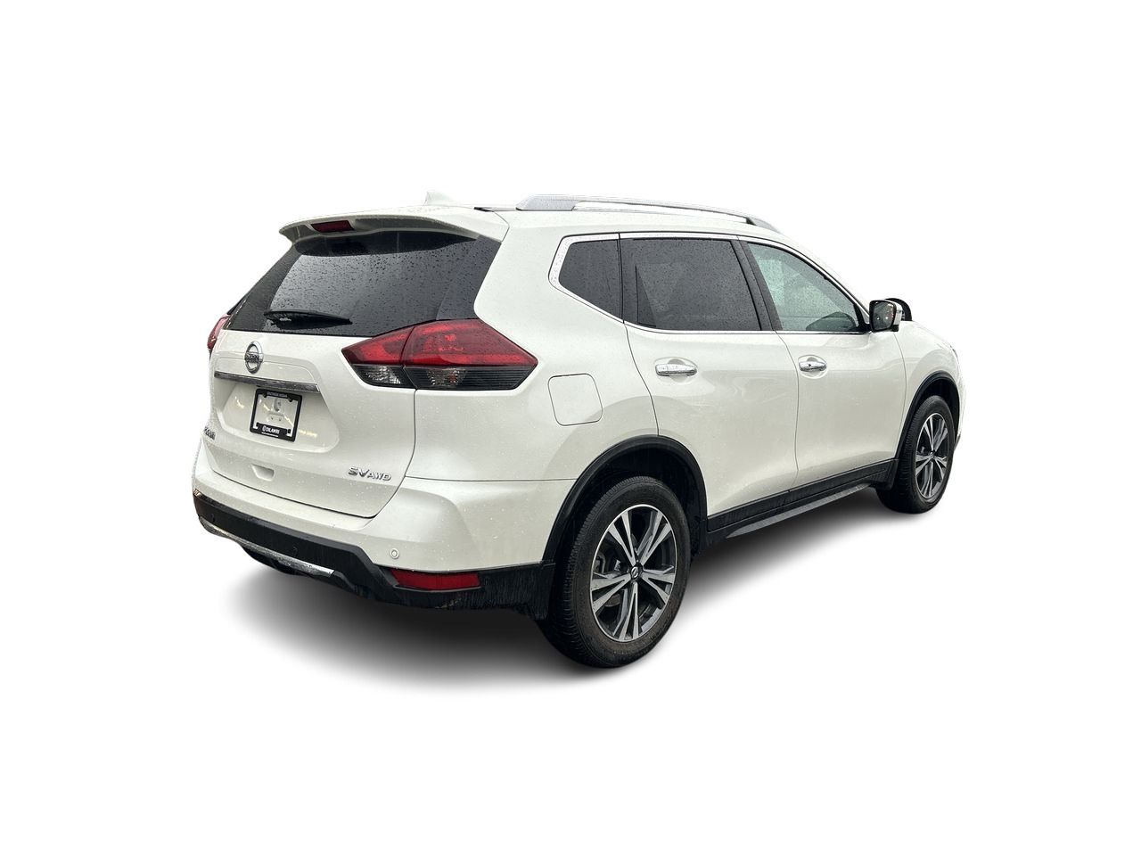 2019  Rogue