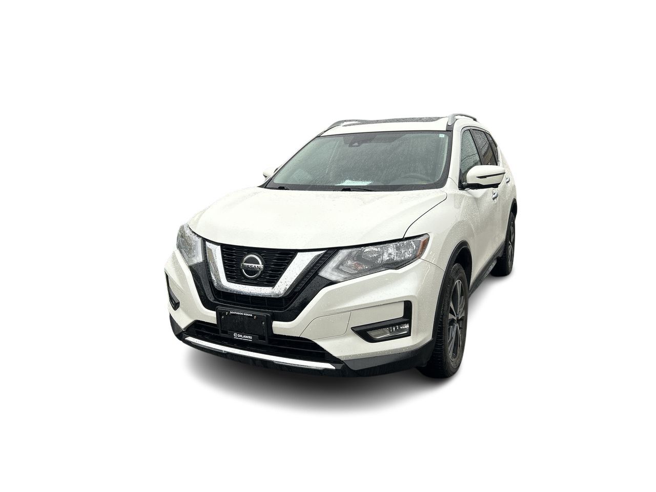 2019  Rogue