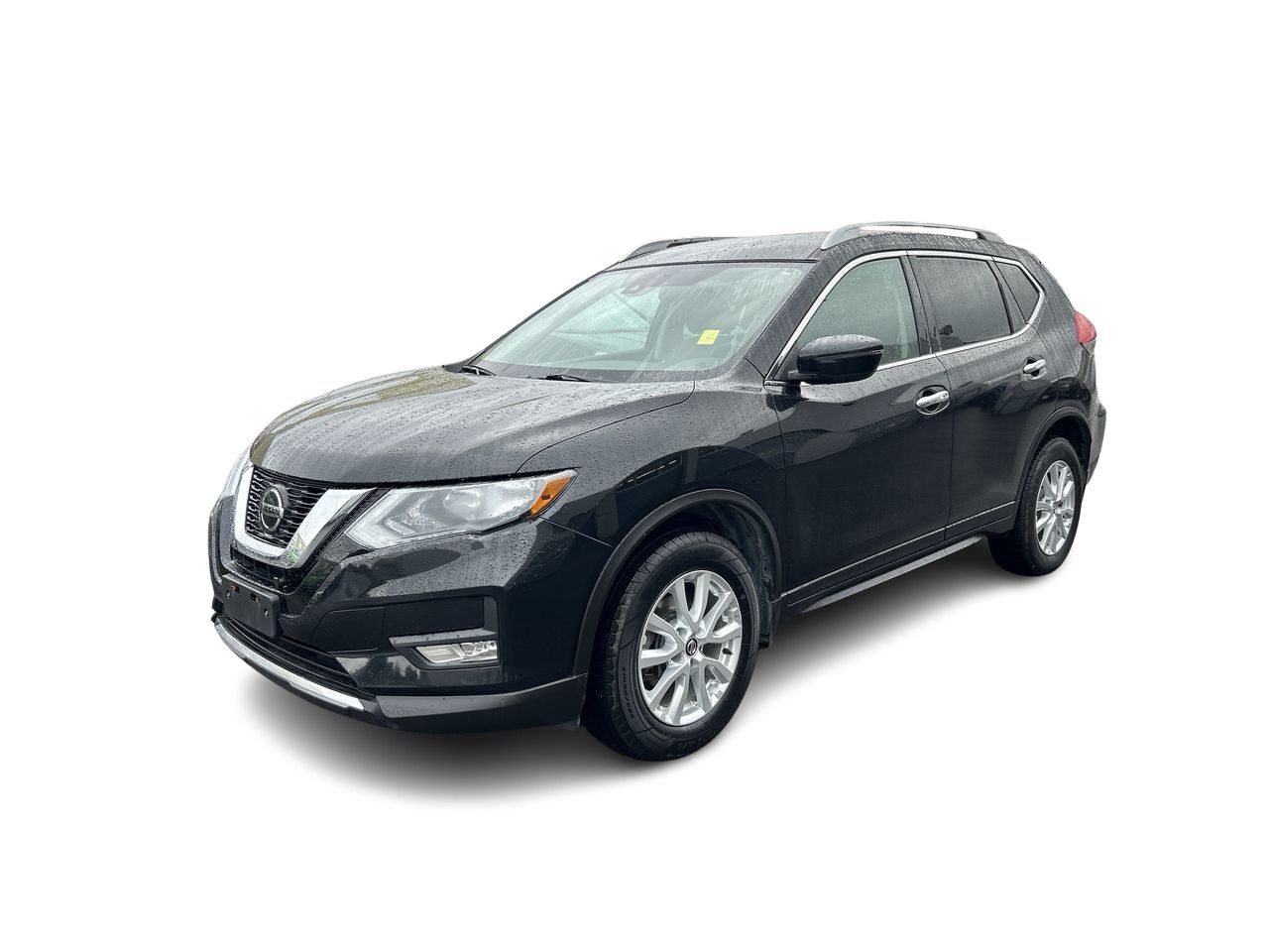 2019  Rogue