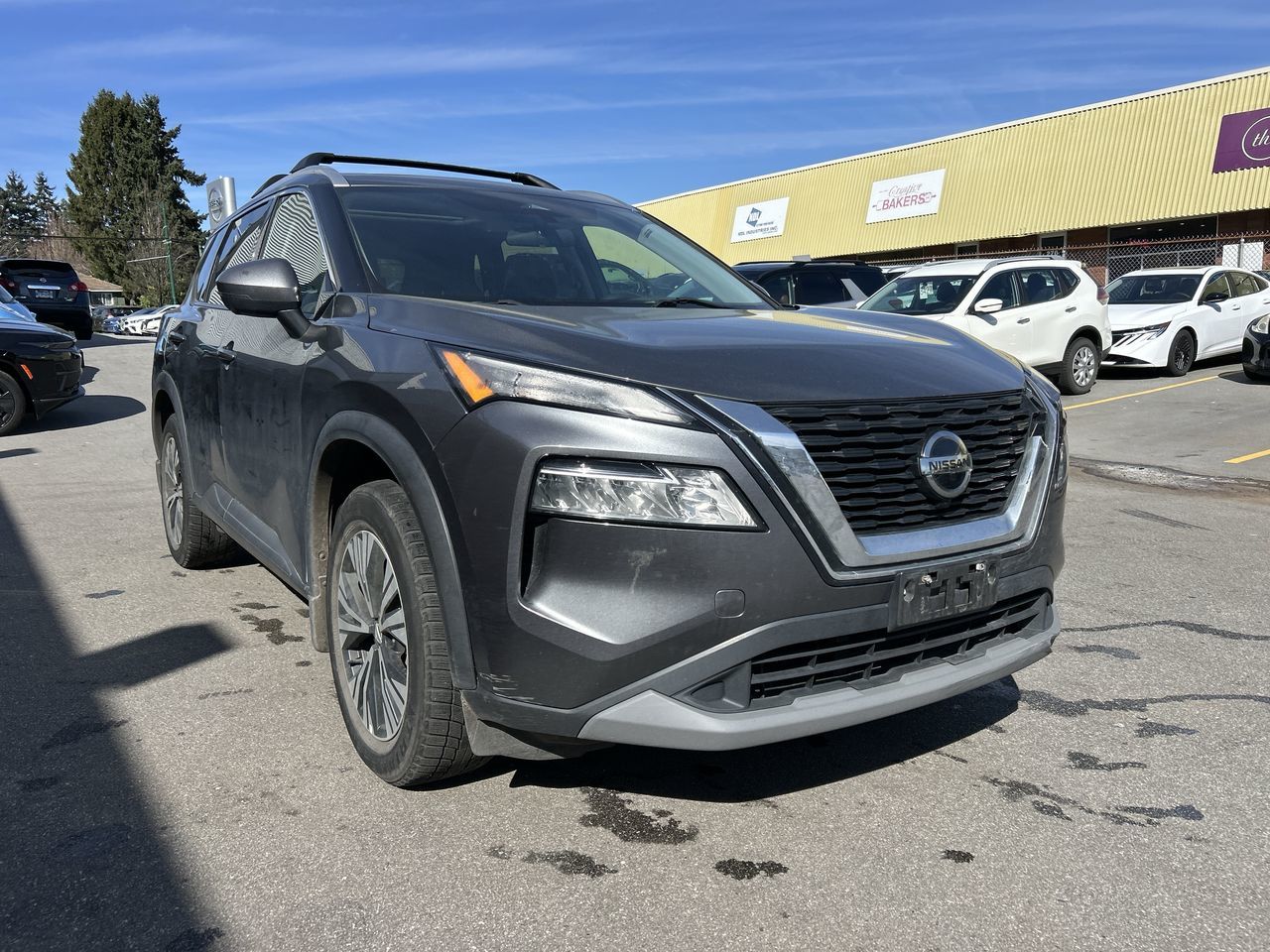 2021  Rogue