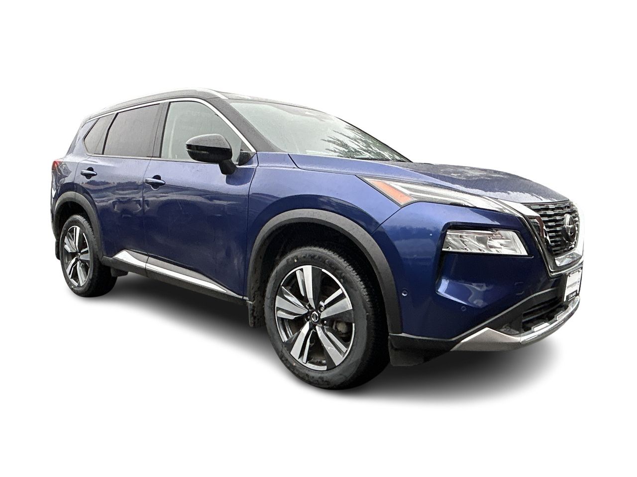 2021  Rogue
