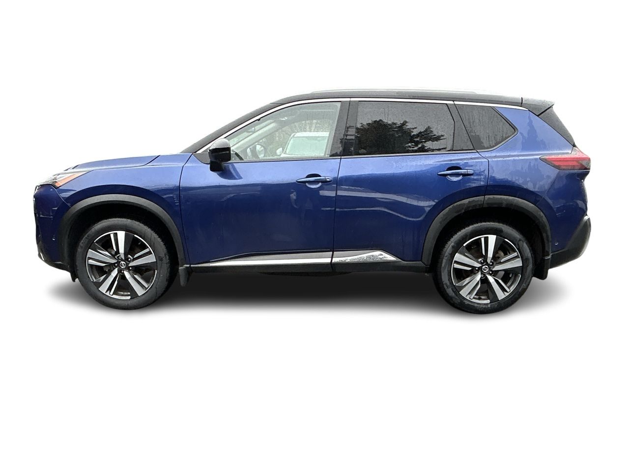2021  Rogue