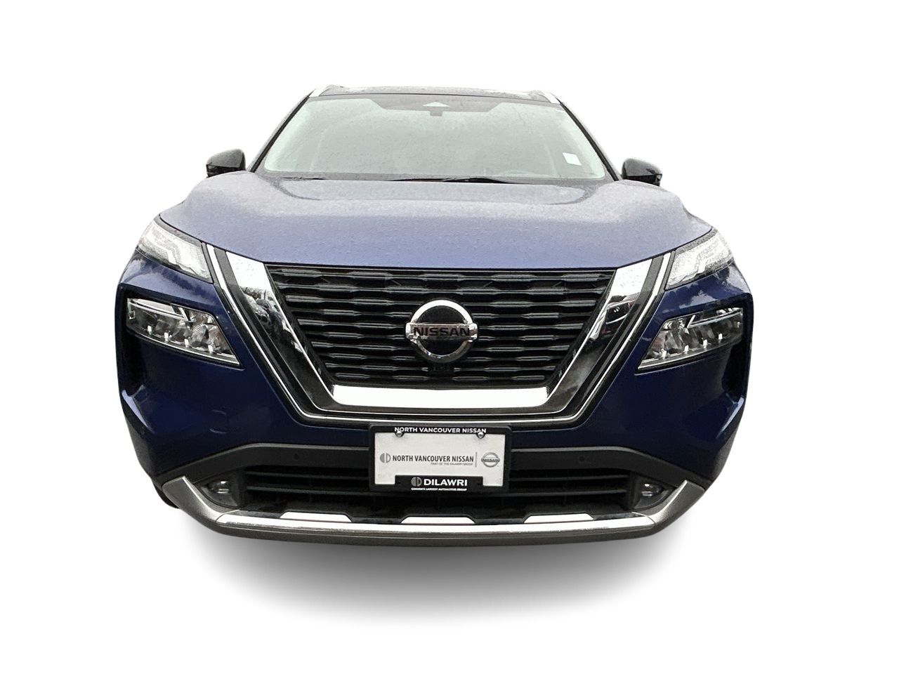 2021  Rogue