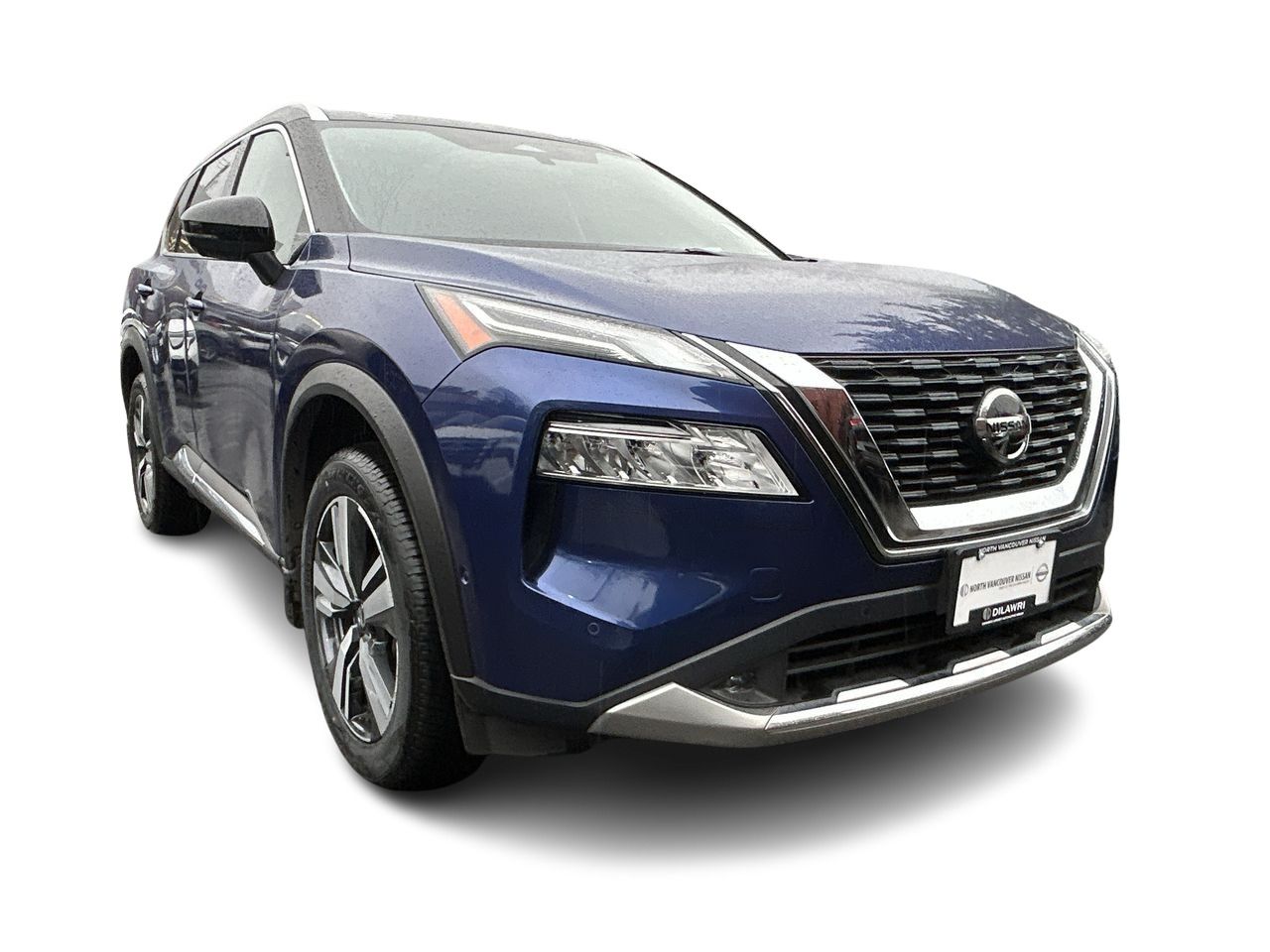 2021  Rogue