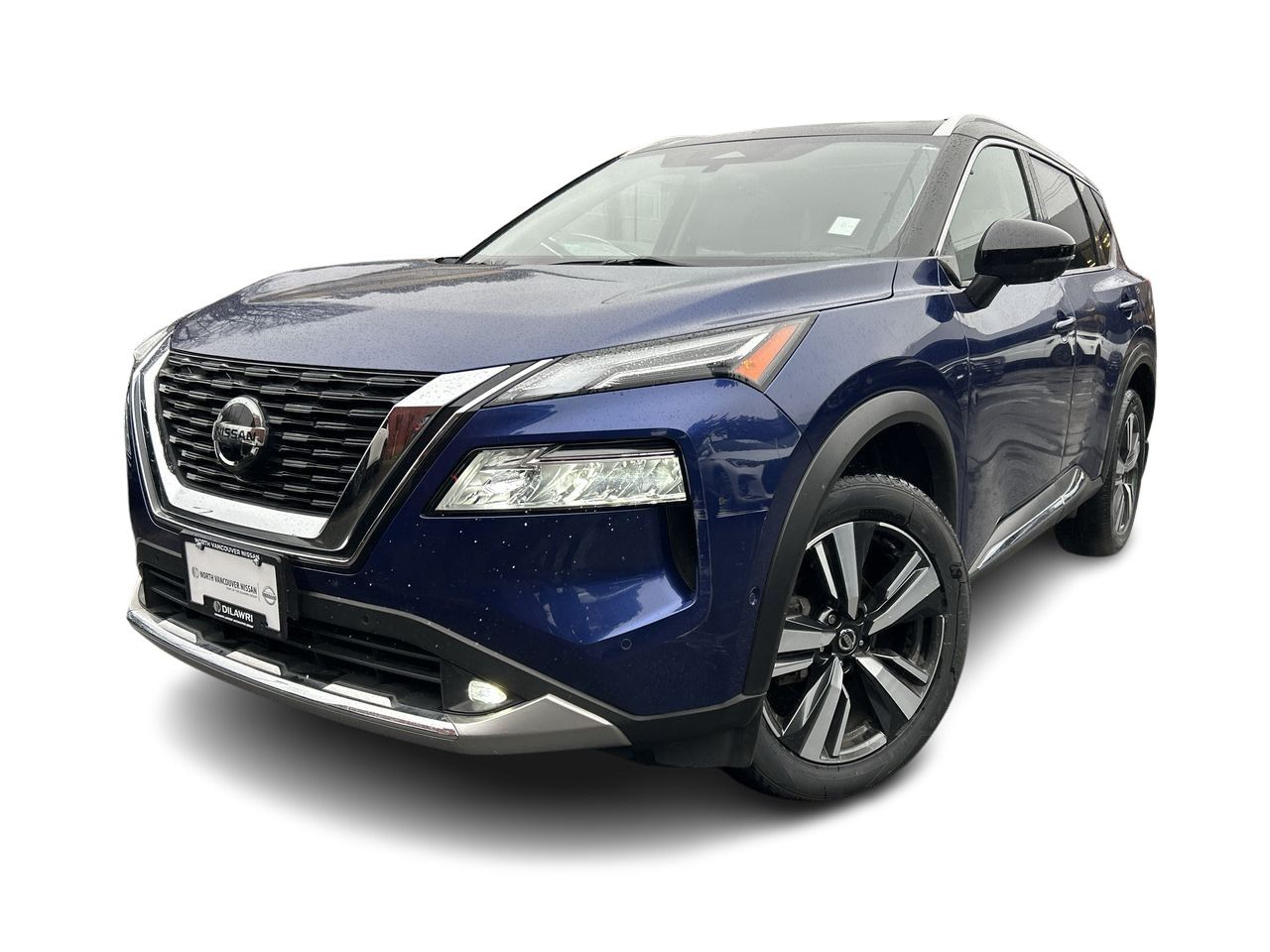 2021  Rogue