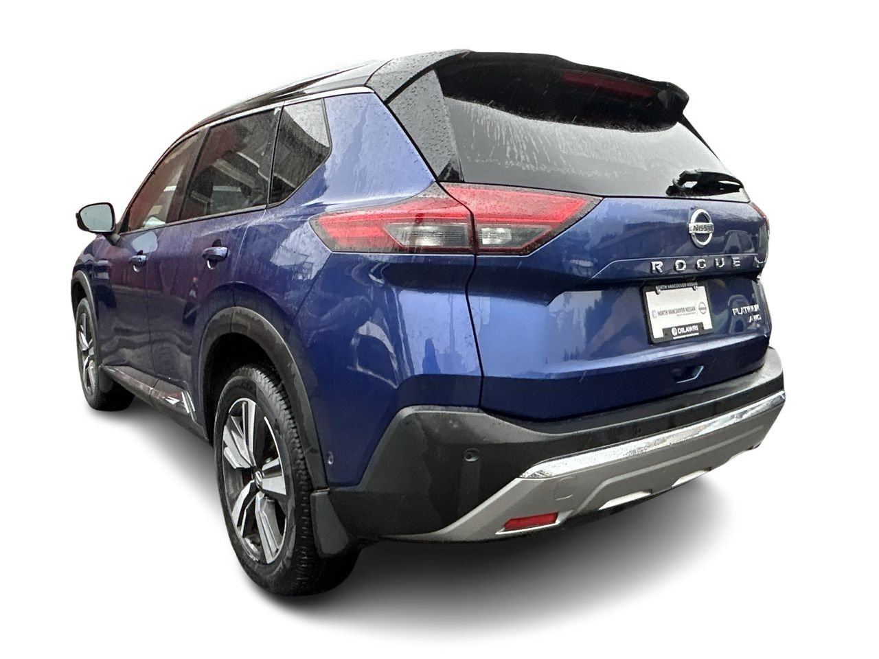 2021  Rogue