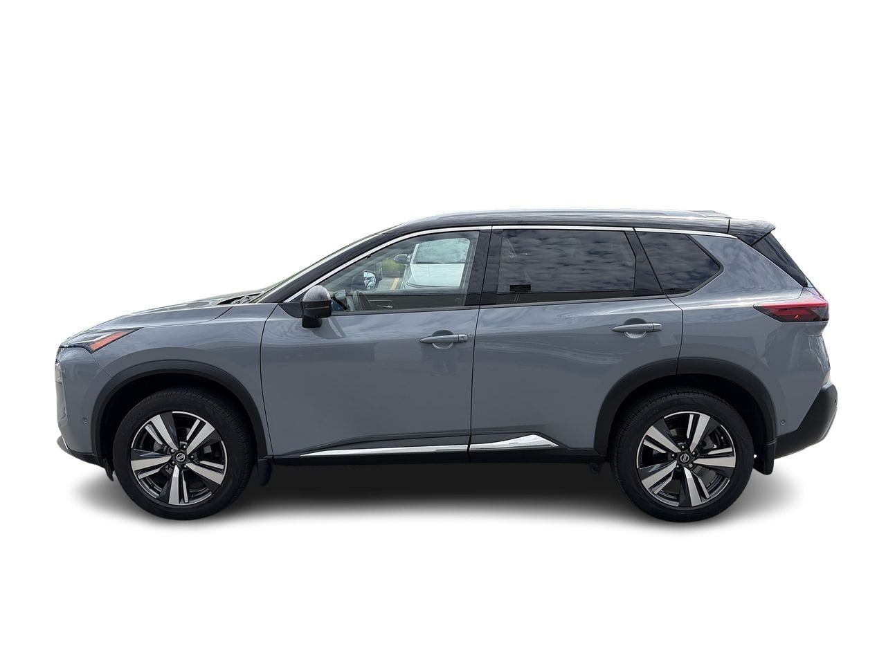 2021  Rogue