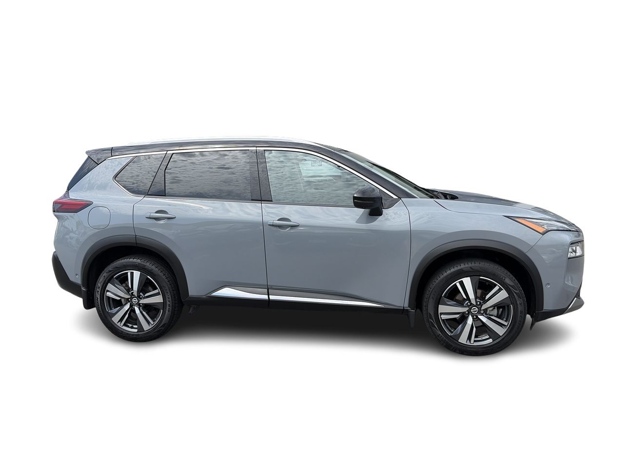 2021  Rogue