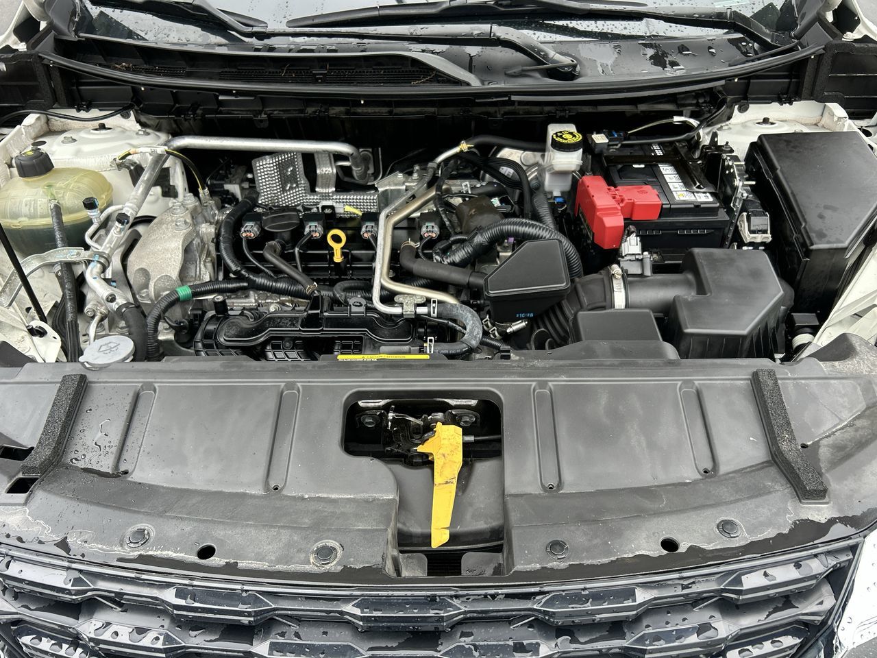 2022 Nissan Rogue