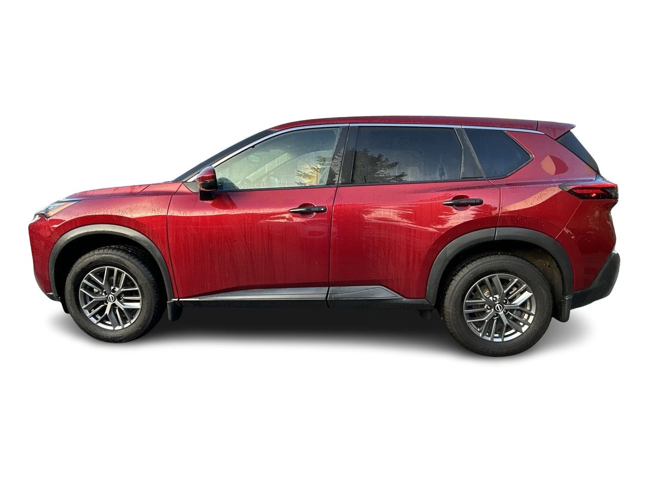 2022  Rogue